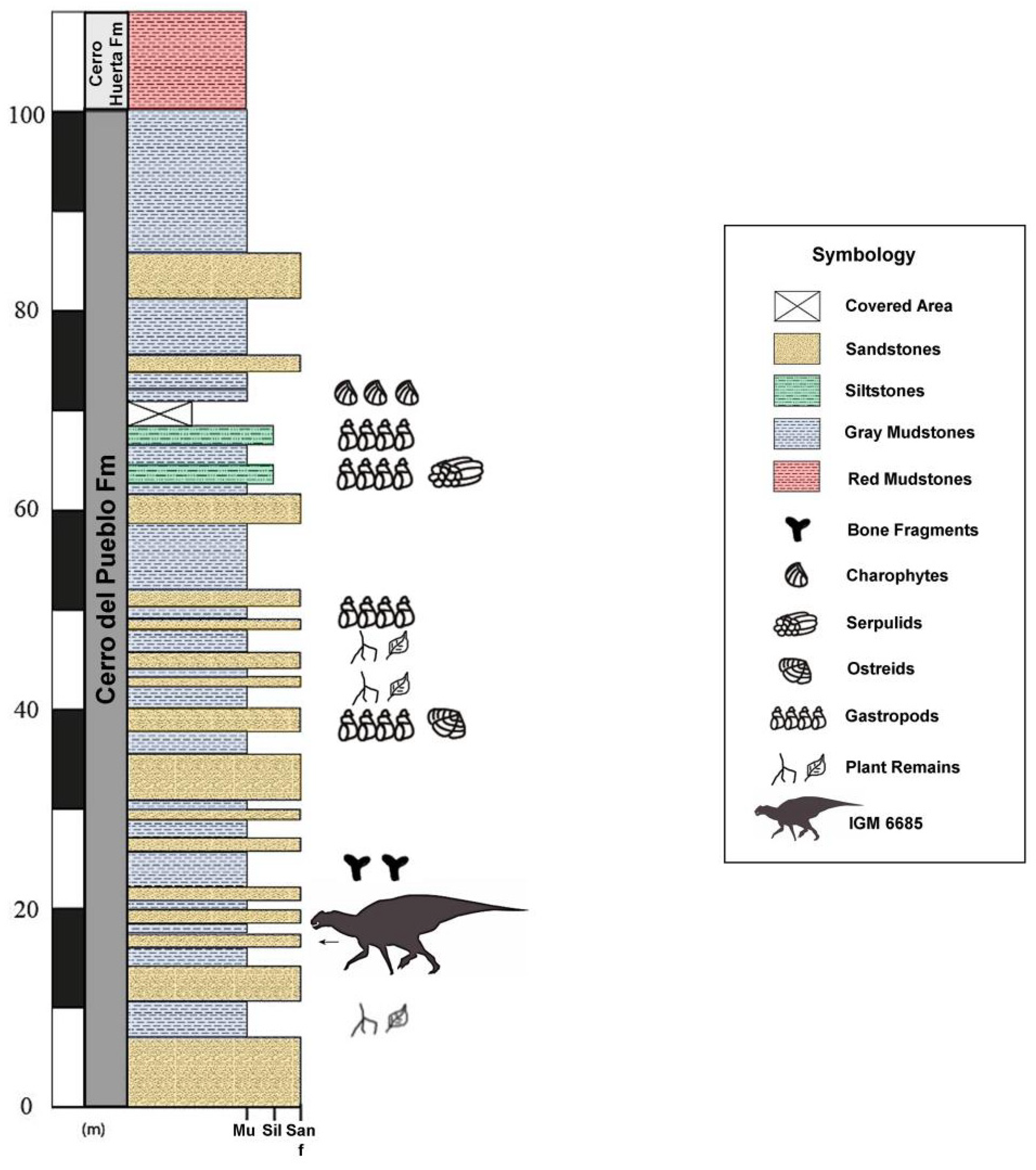 Diversity 16 00531 g004