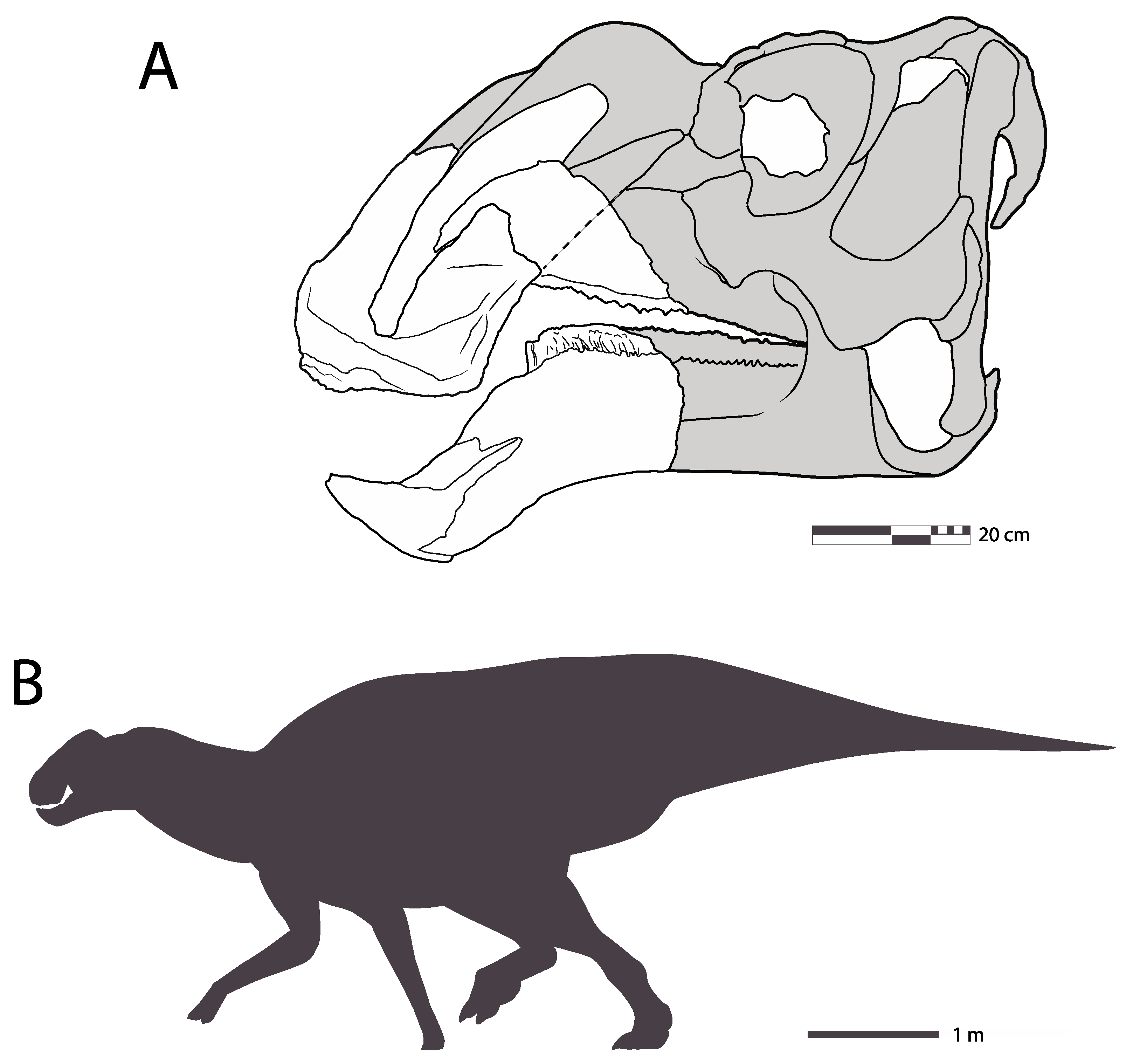 Diversity 16 00531 g005