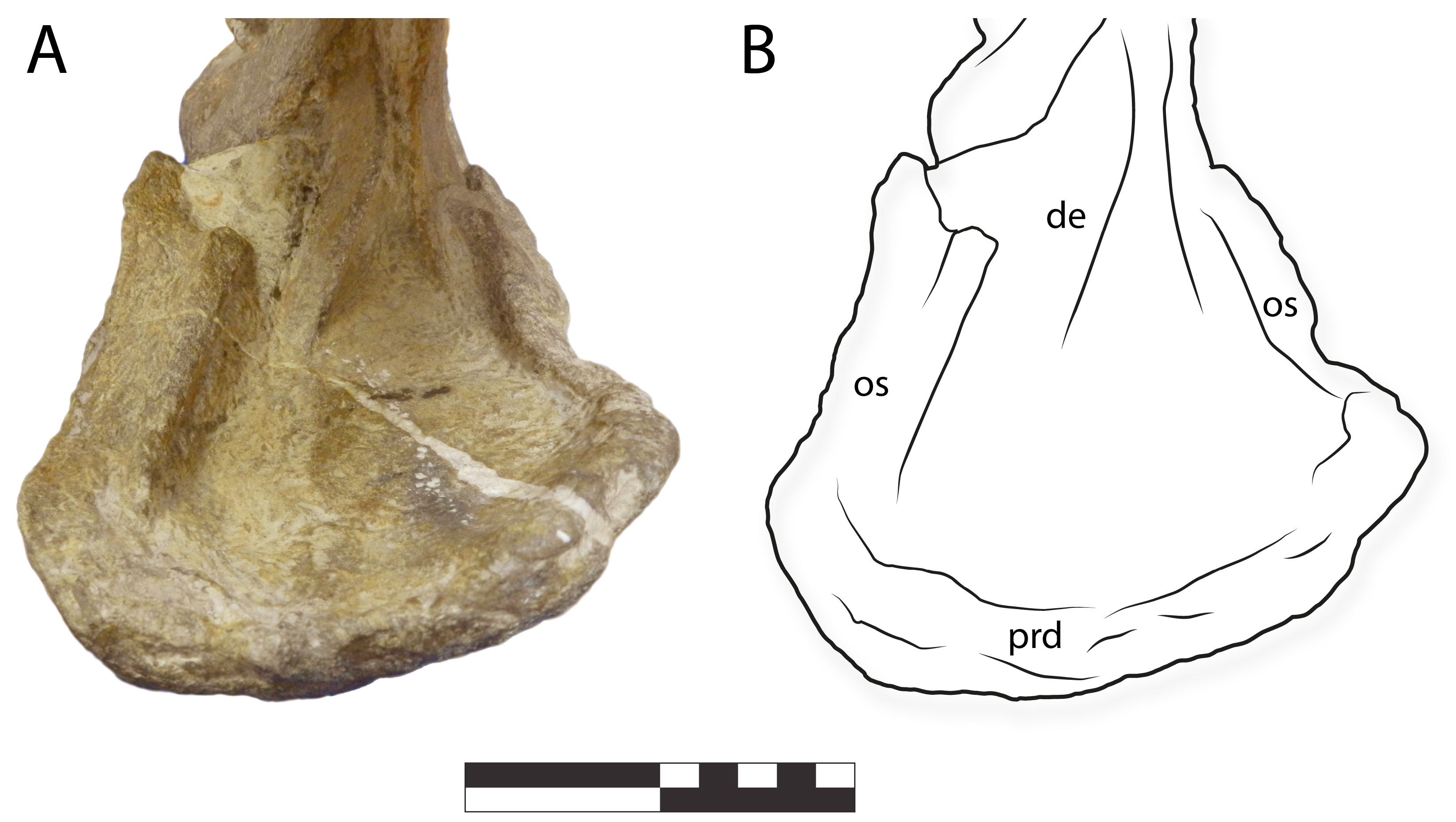 Diversity 16 00531 g012
