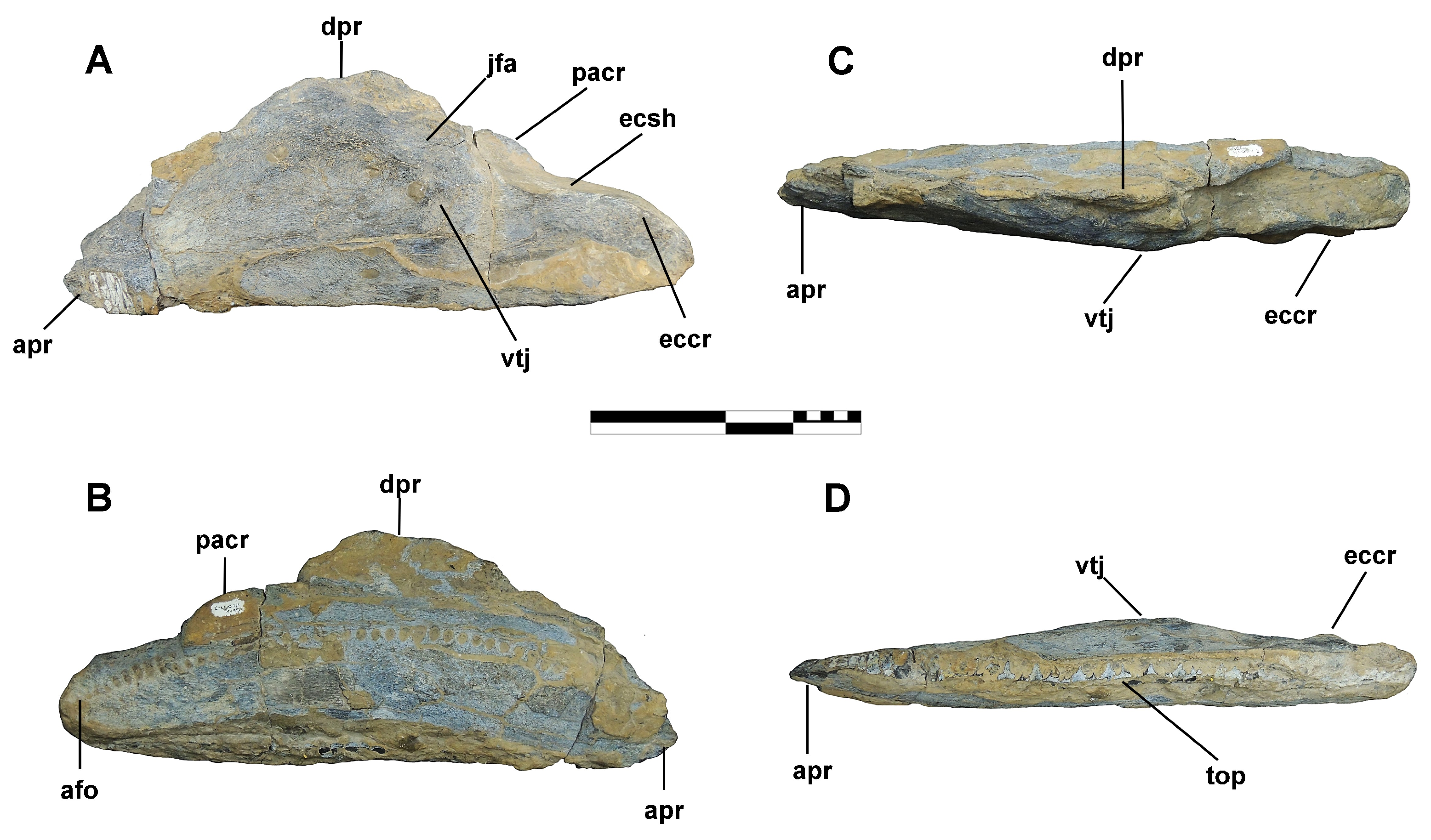 Diversity 16 00531 g014