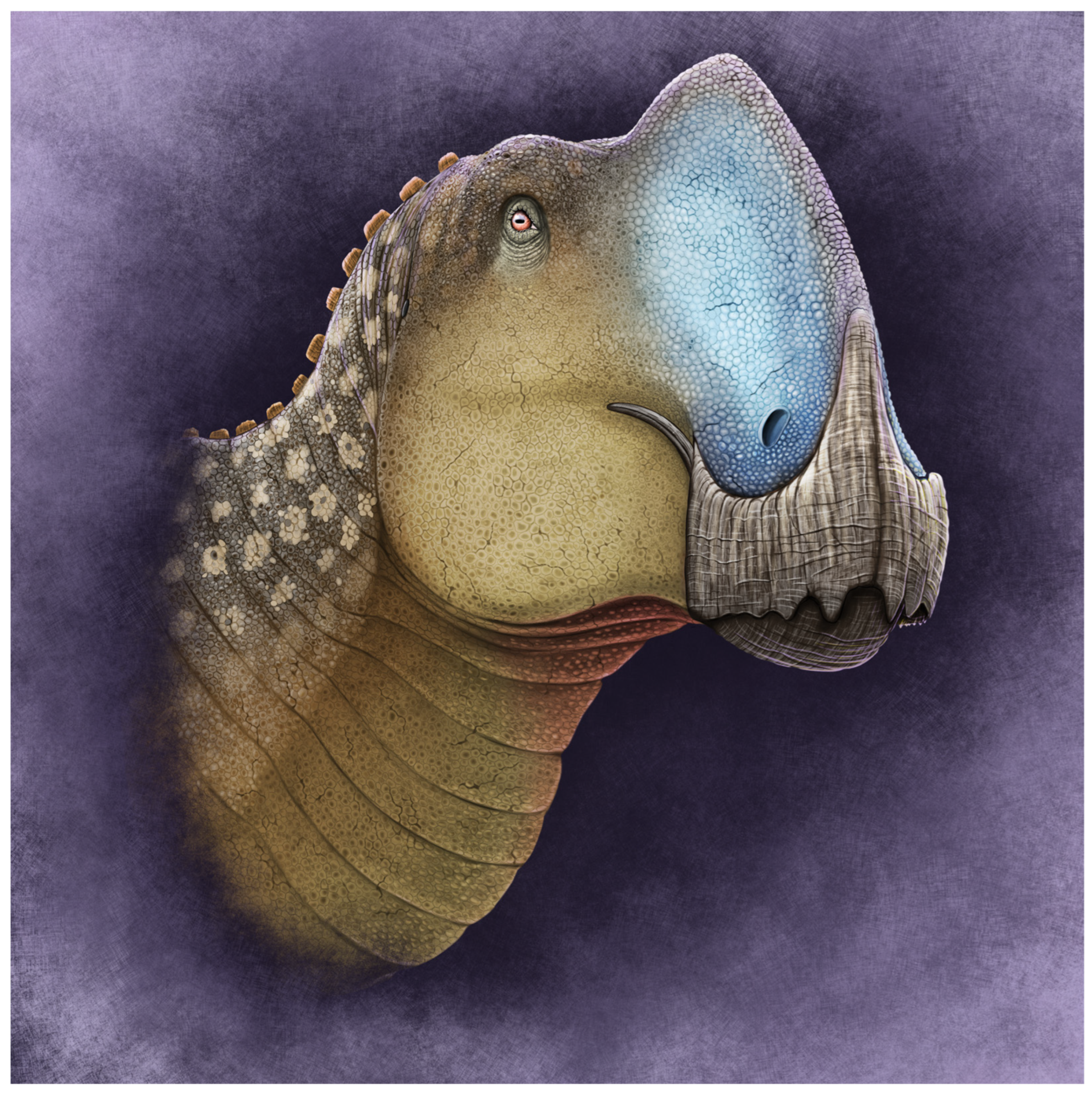 Diversity 16 00531 g020