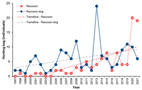 Analysis of the Raccoon (Procyon lotor) and Common Raccoon Dog 