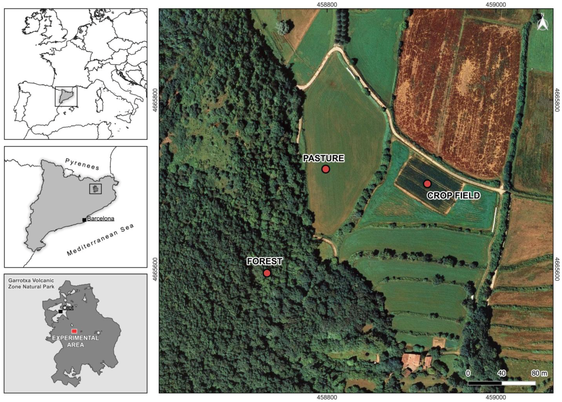 Diversity 16 00533 g002