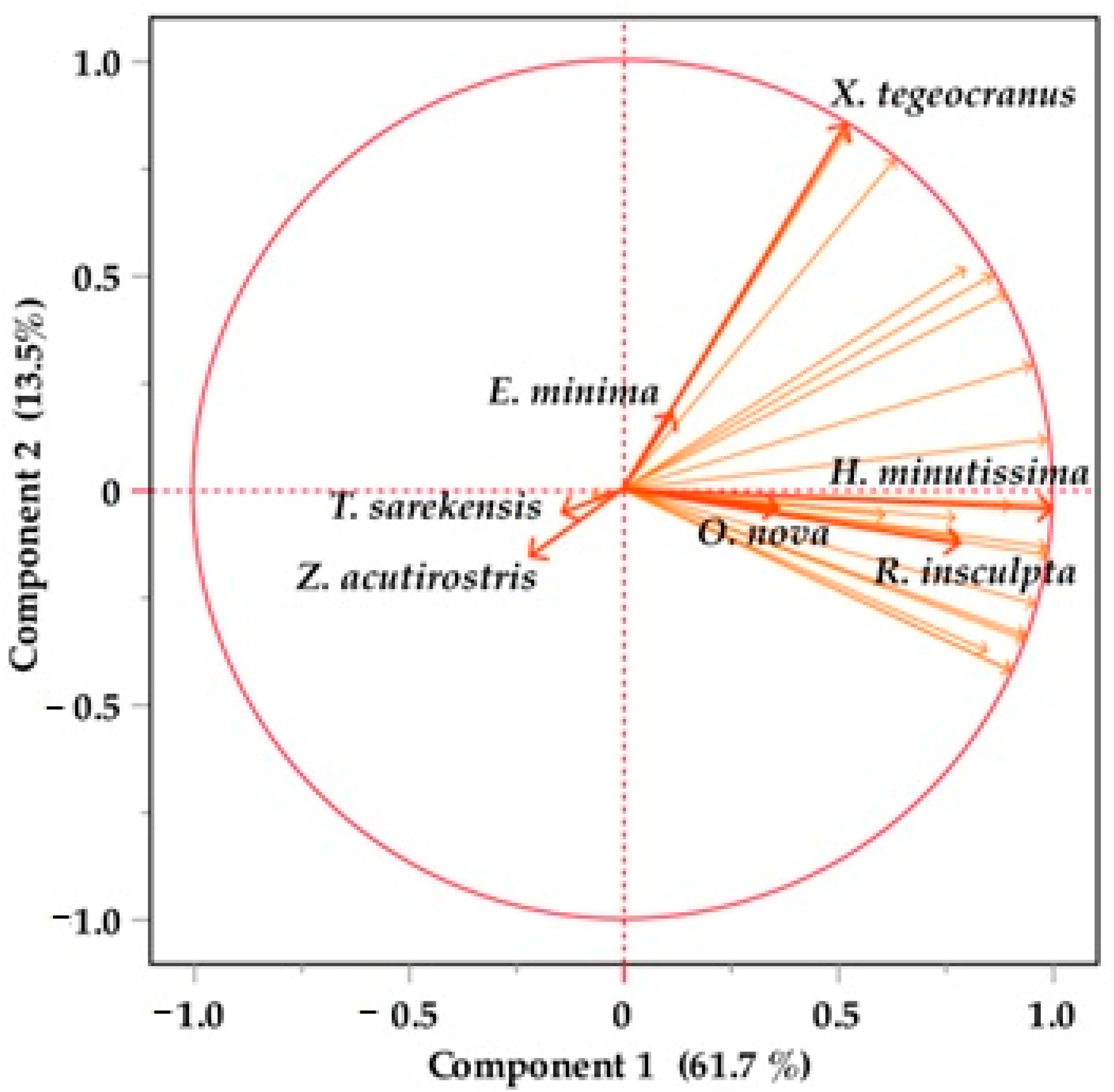Diversity 16 00533 g005
