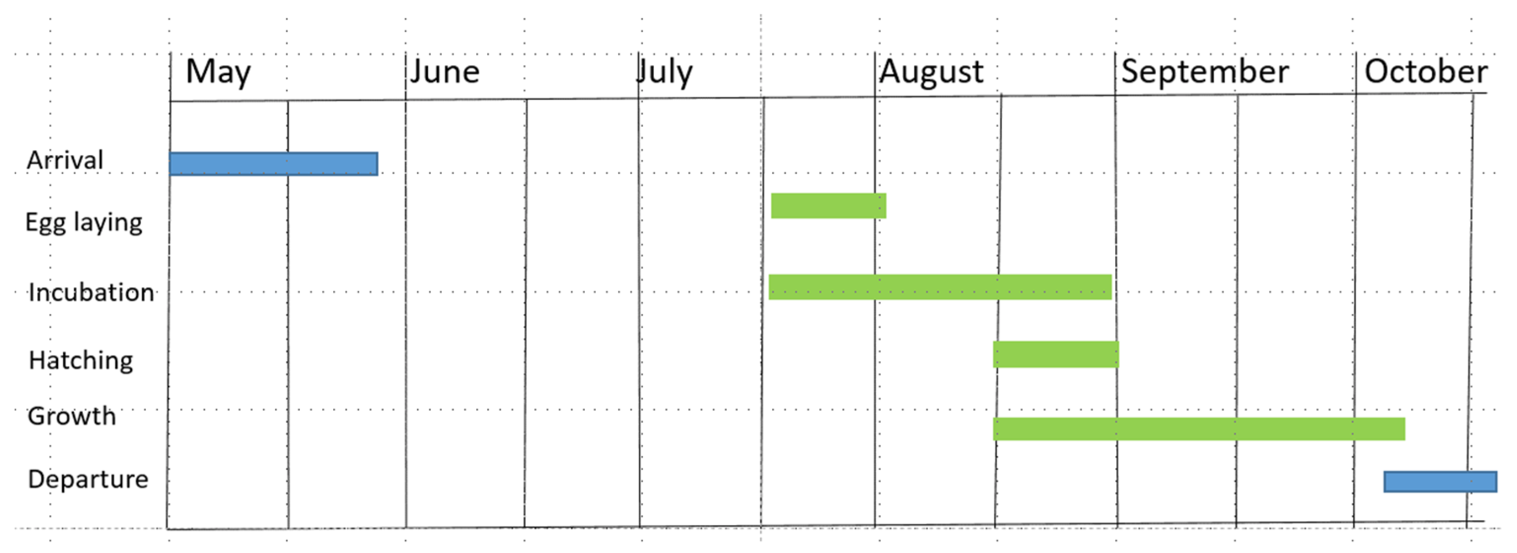 Diversity 16 00538 g002