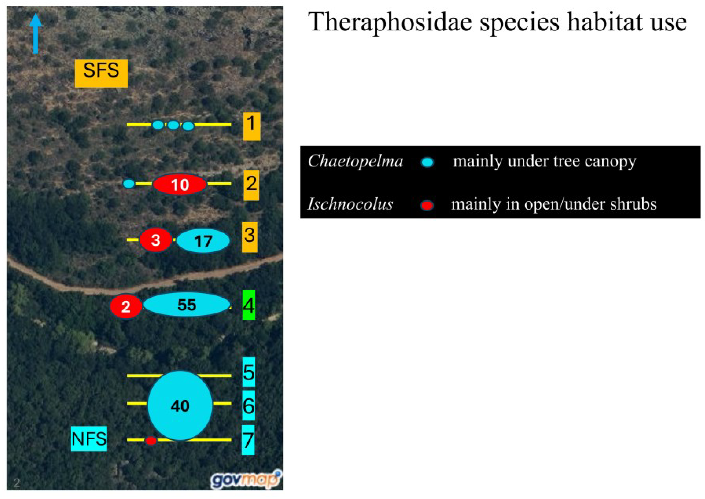 Diversity 16 00540 g0a3
