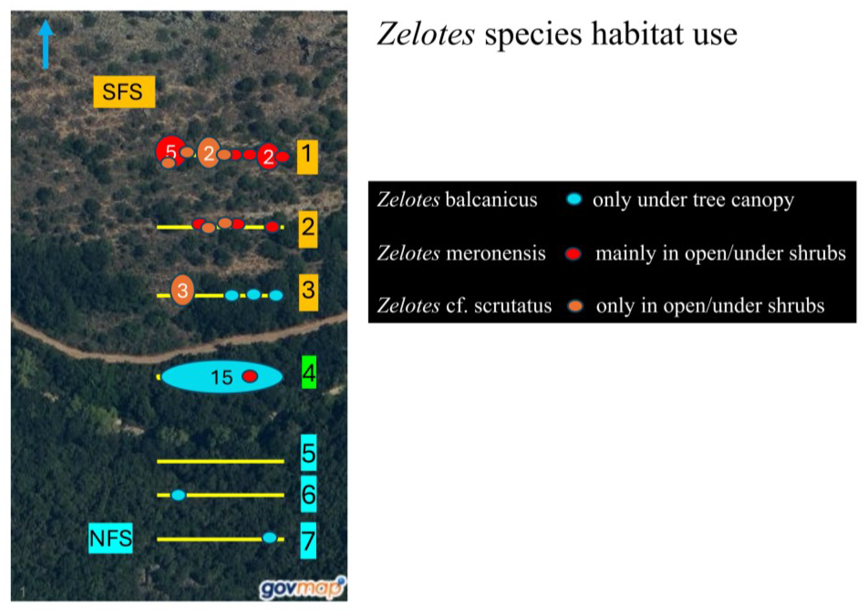 Diversity 16 00540 g0a4