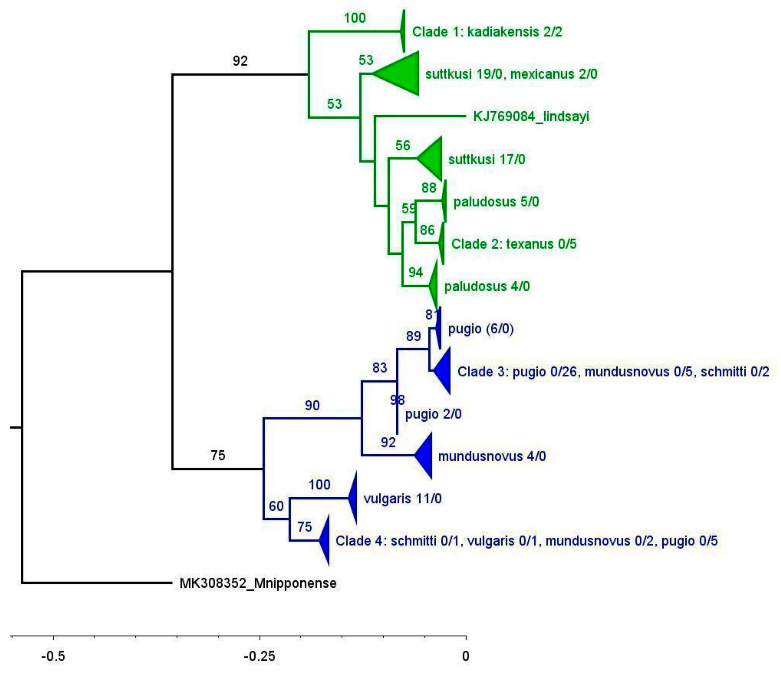 Diversity 16 00543 g003