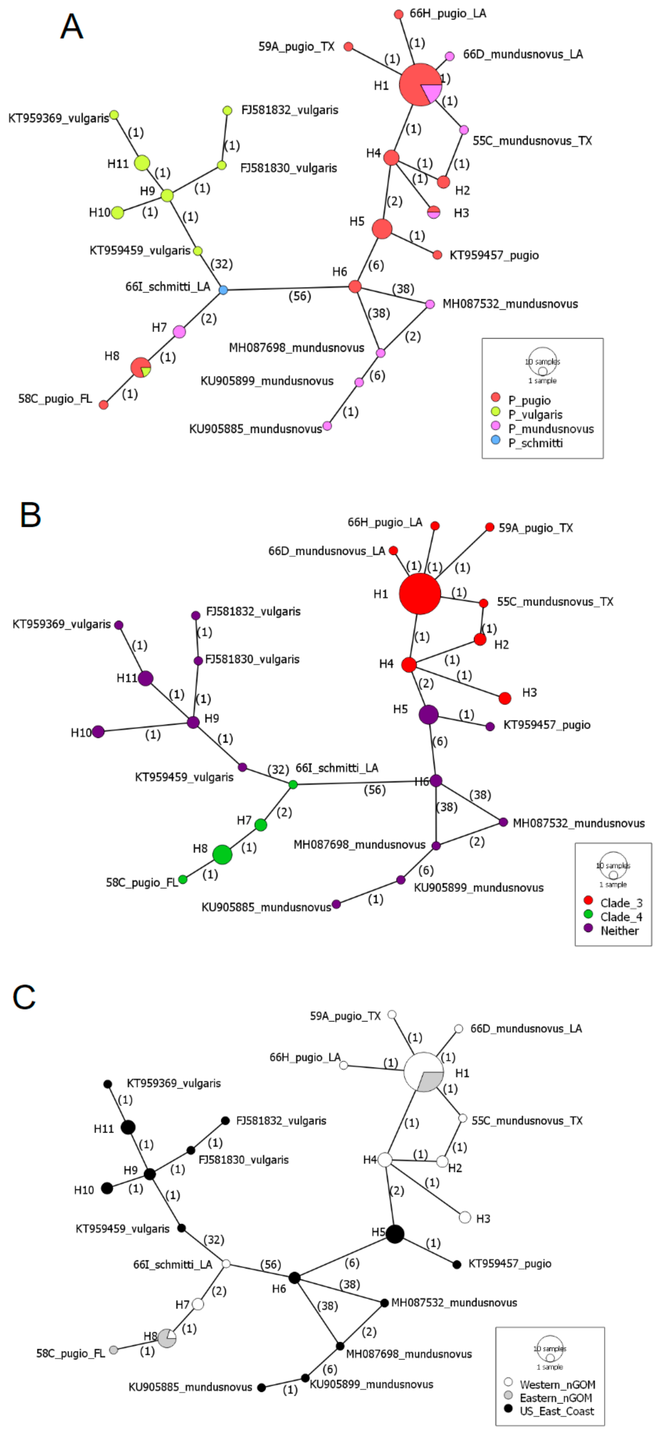 Diversity 16 00543 g004