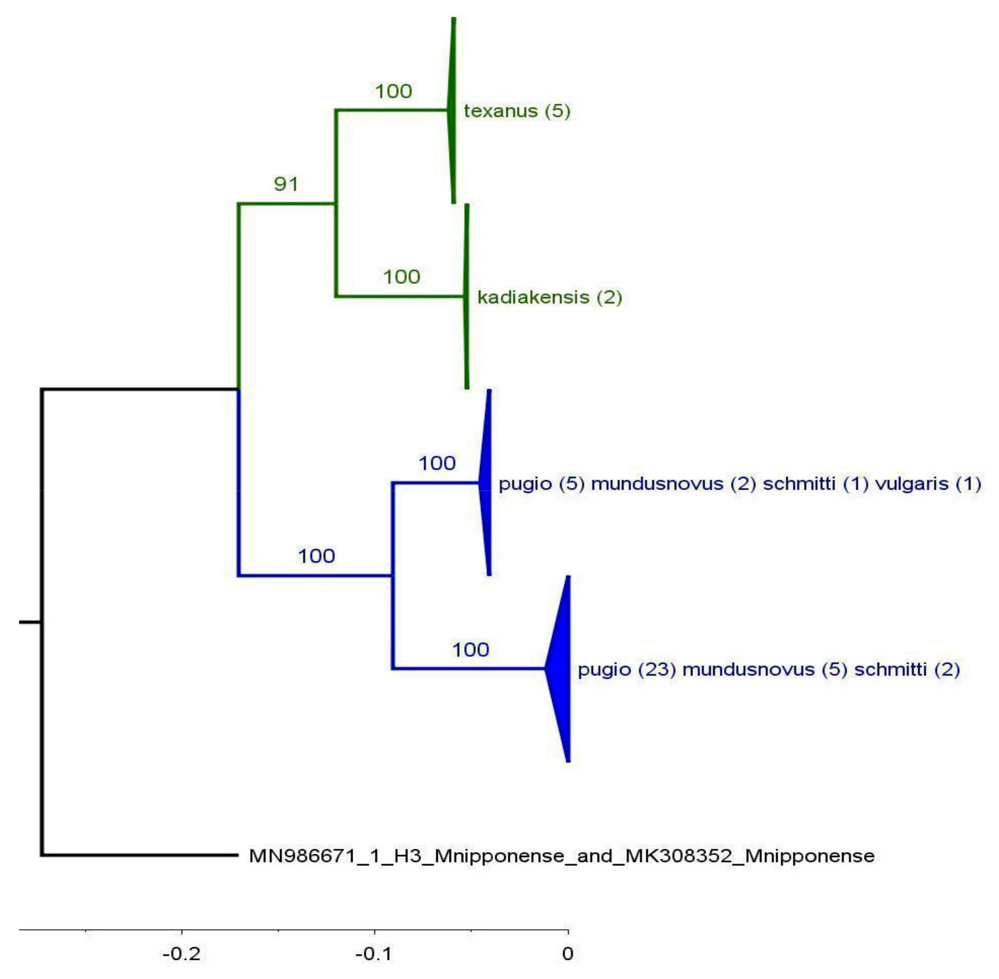 Diversity 16 00543 g006