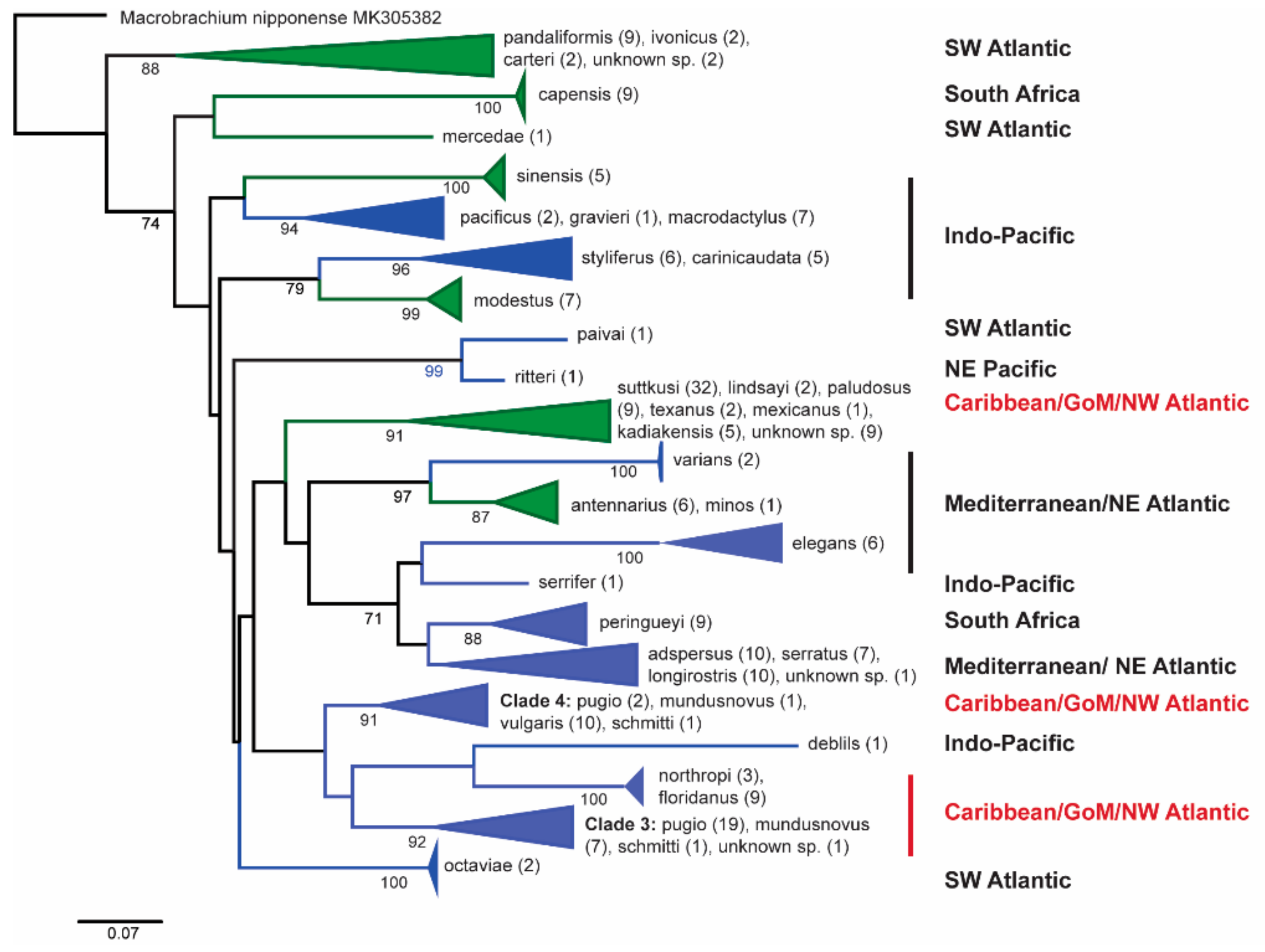 Diversity 16 00543 g007
