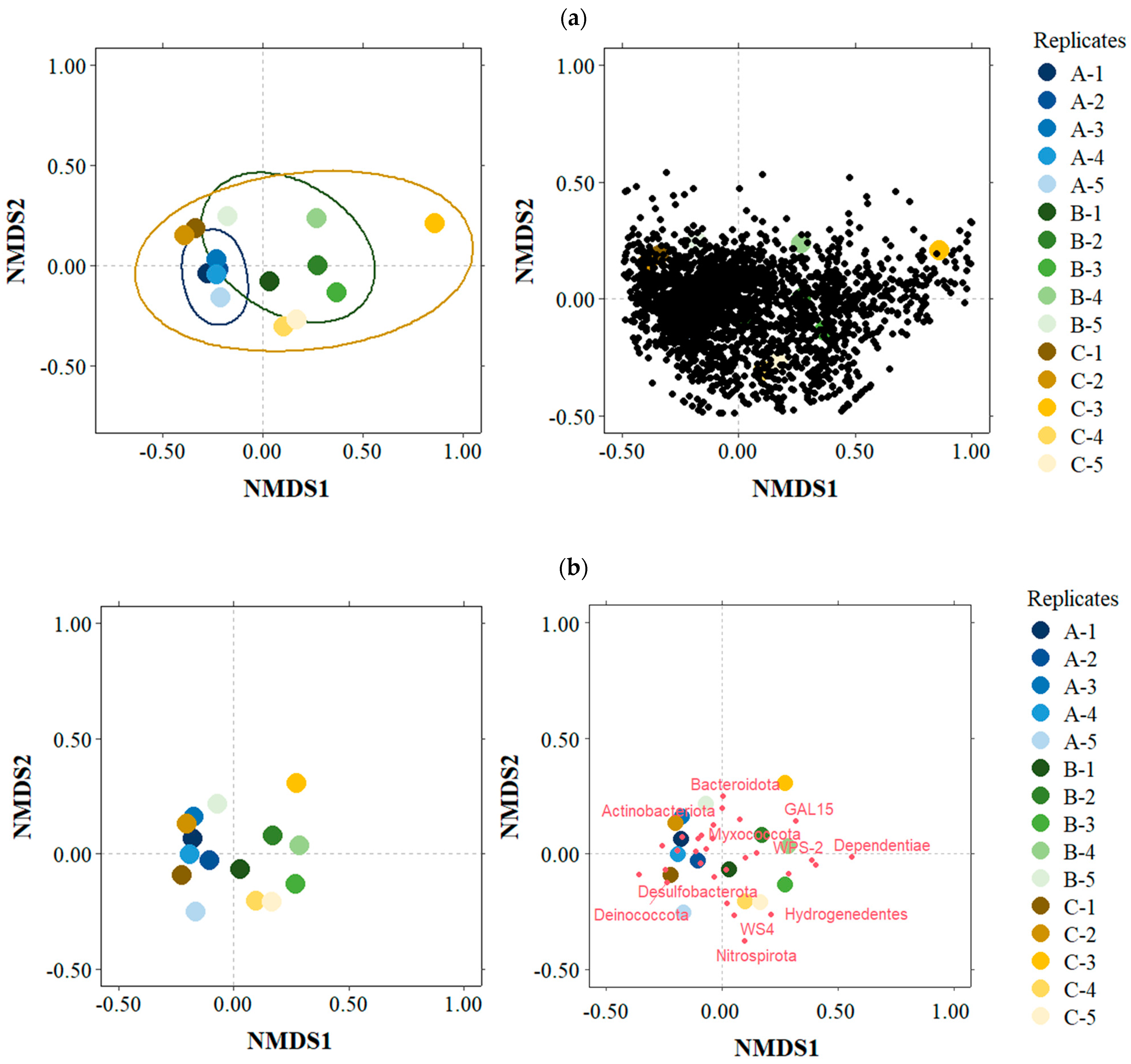 Diversity 16 00544 g010 Diversity 16 00544 g010