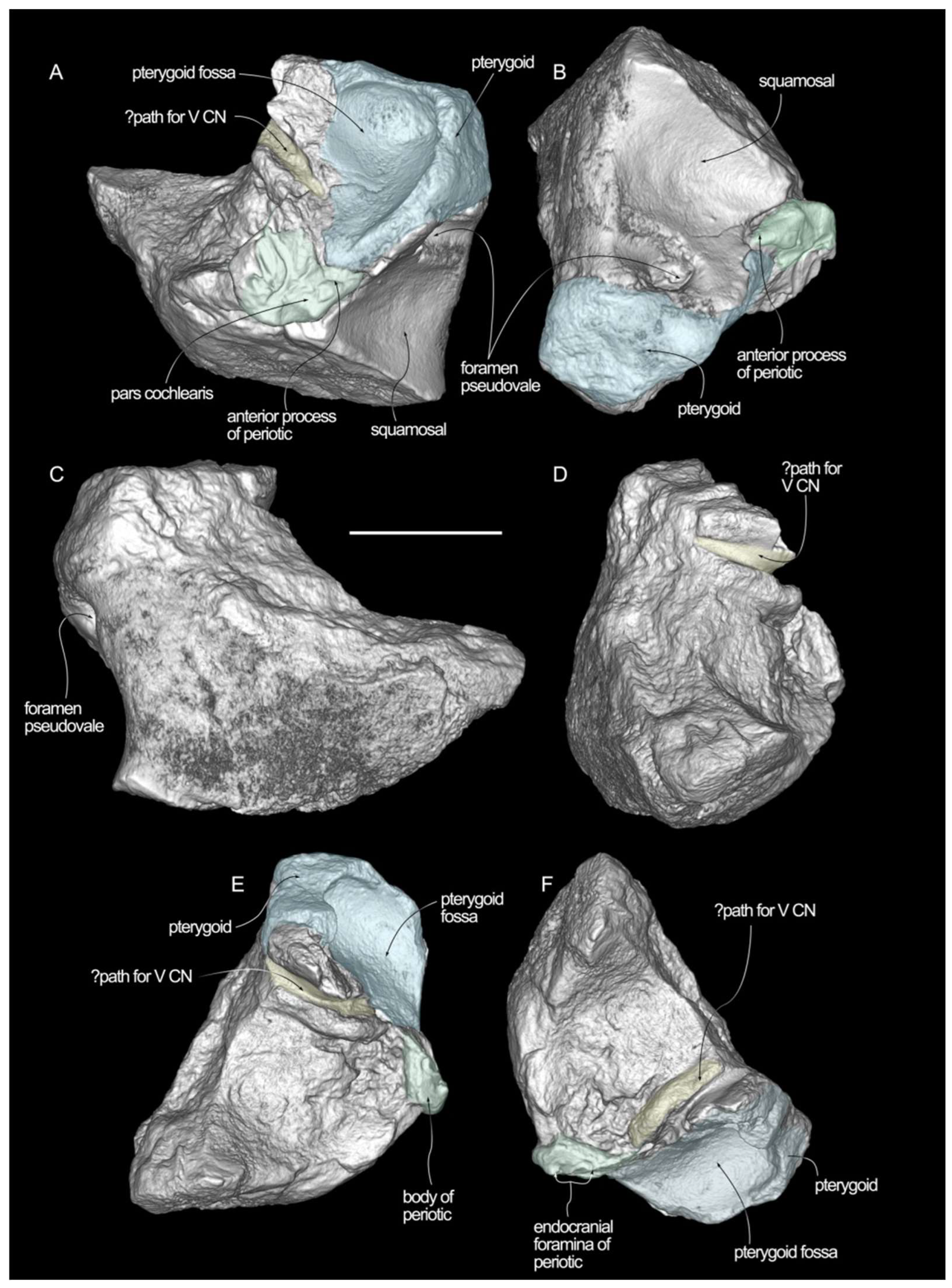 Diversity 16 00547 g003
