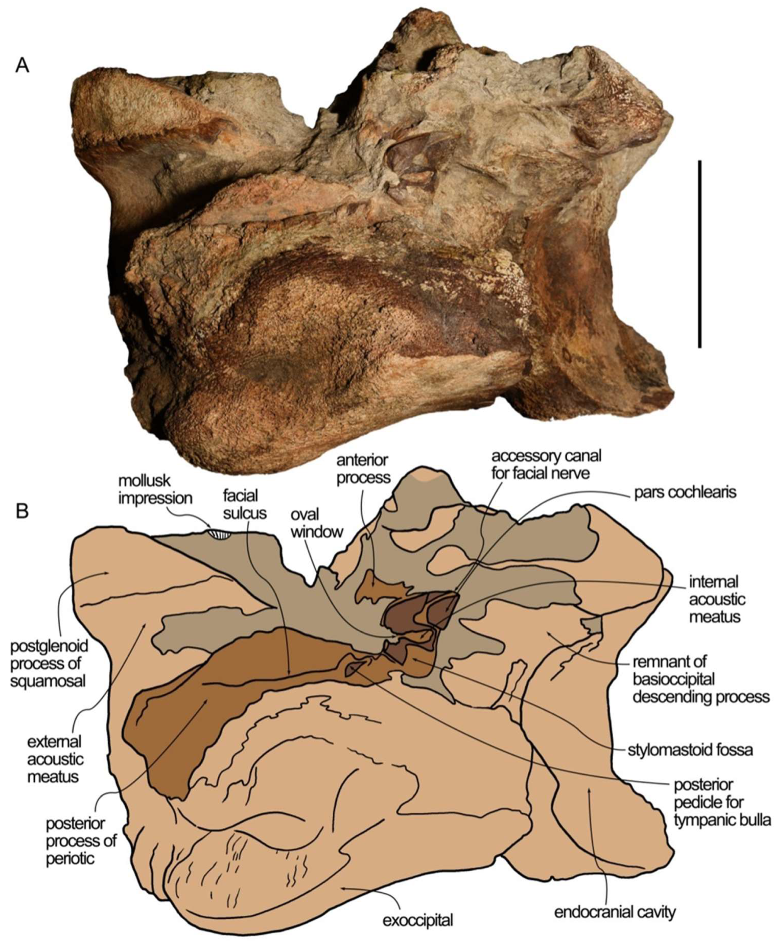 Diversity 16 00547 g004