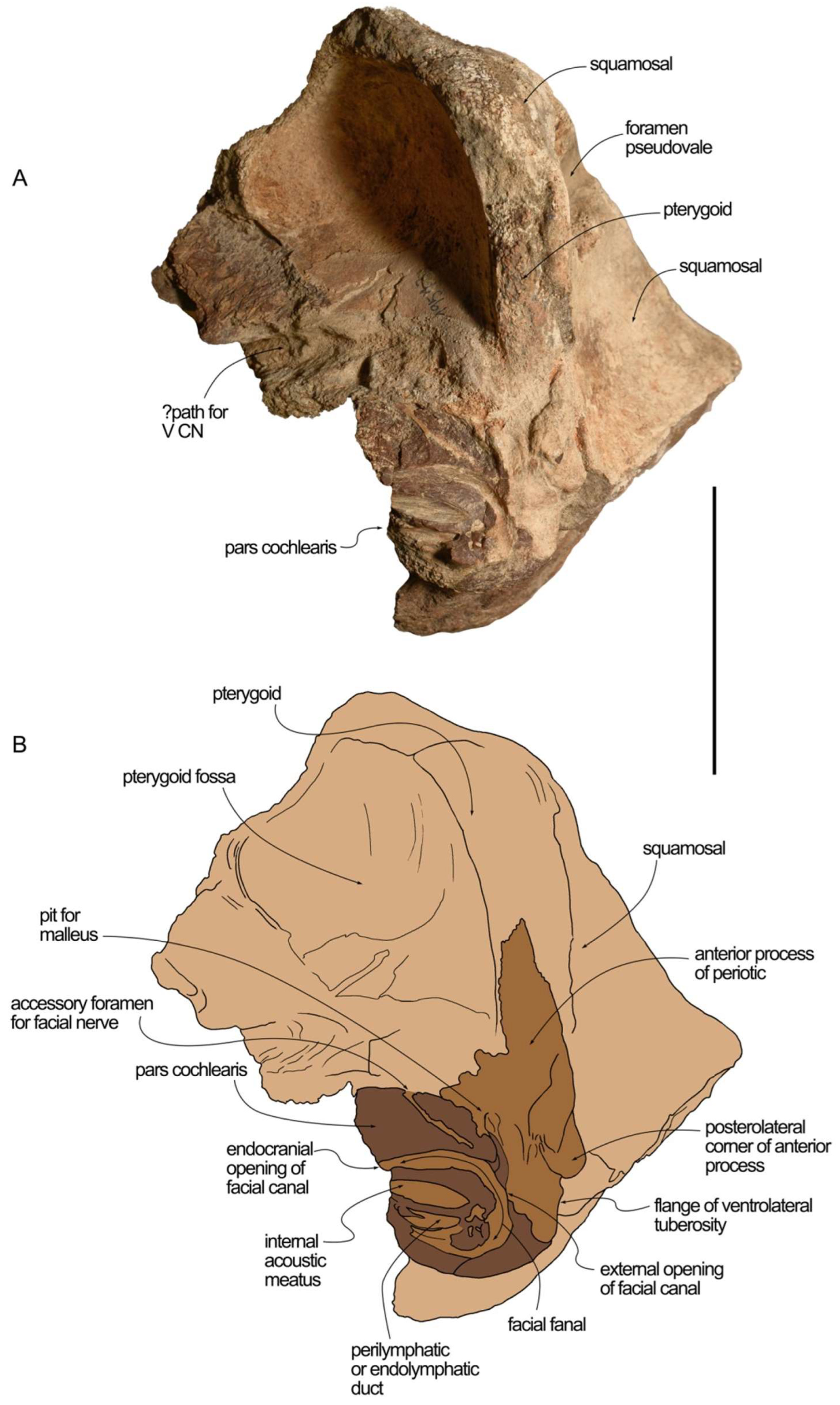 Diversity 16 00547 g005