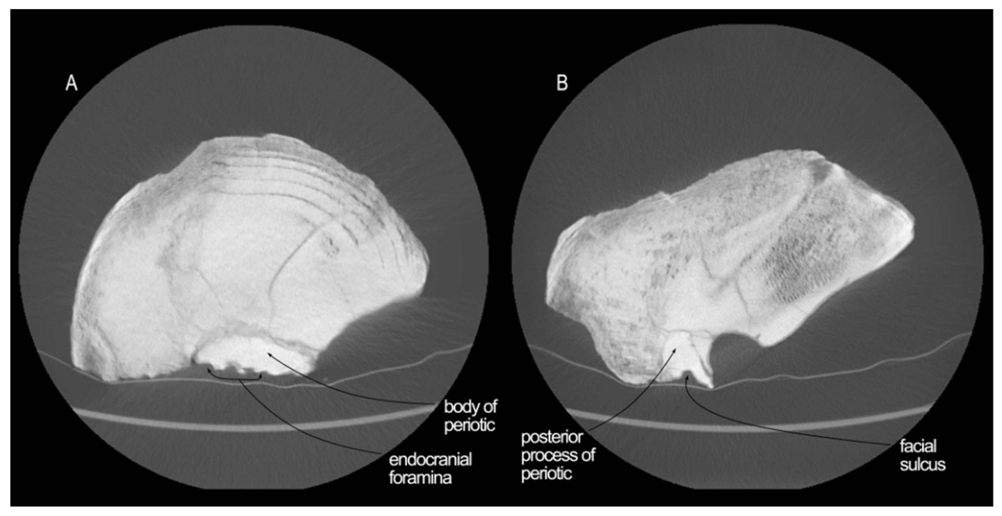 Diversity 16 00547 g006
