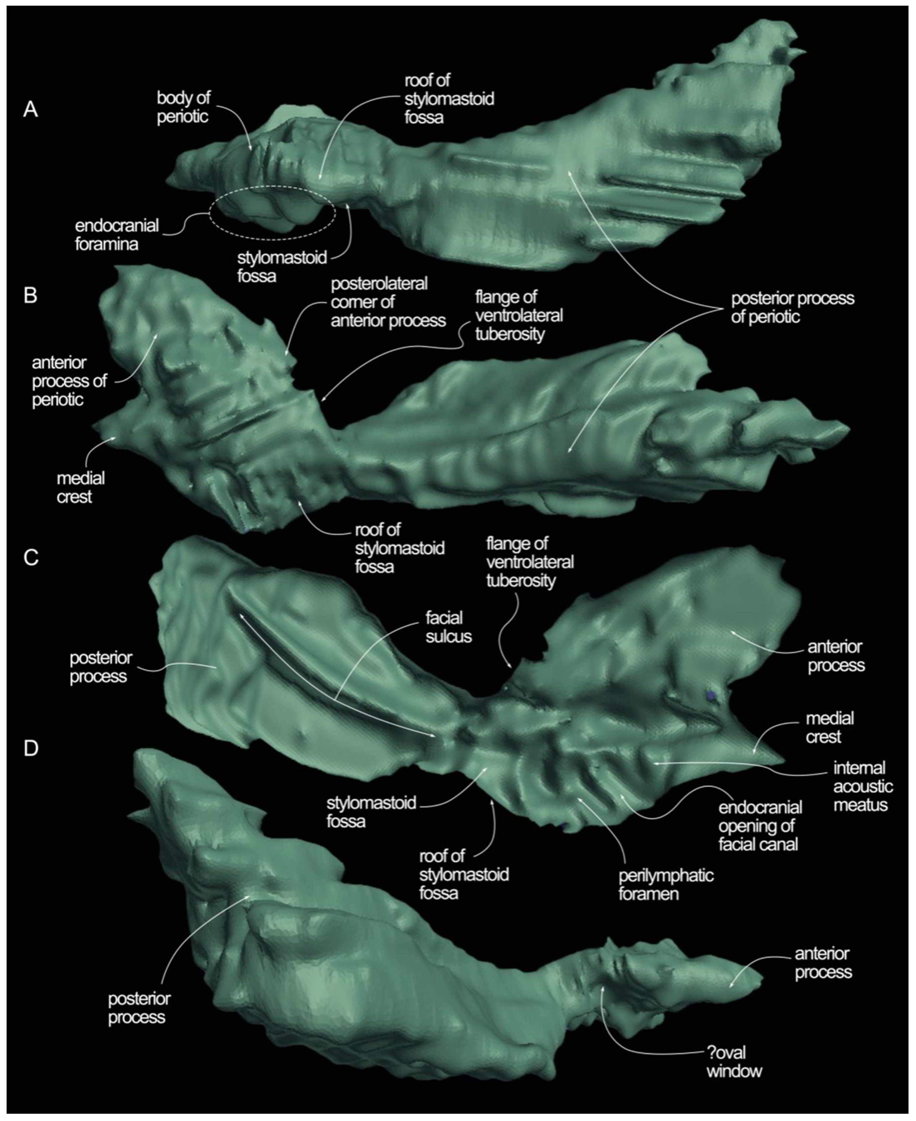 Diversity 16 00547 g007