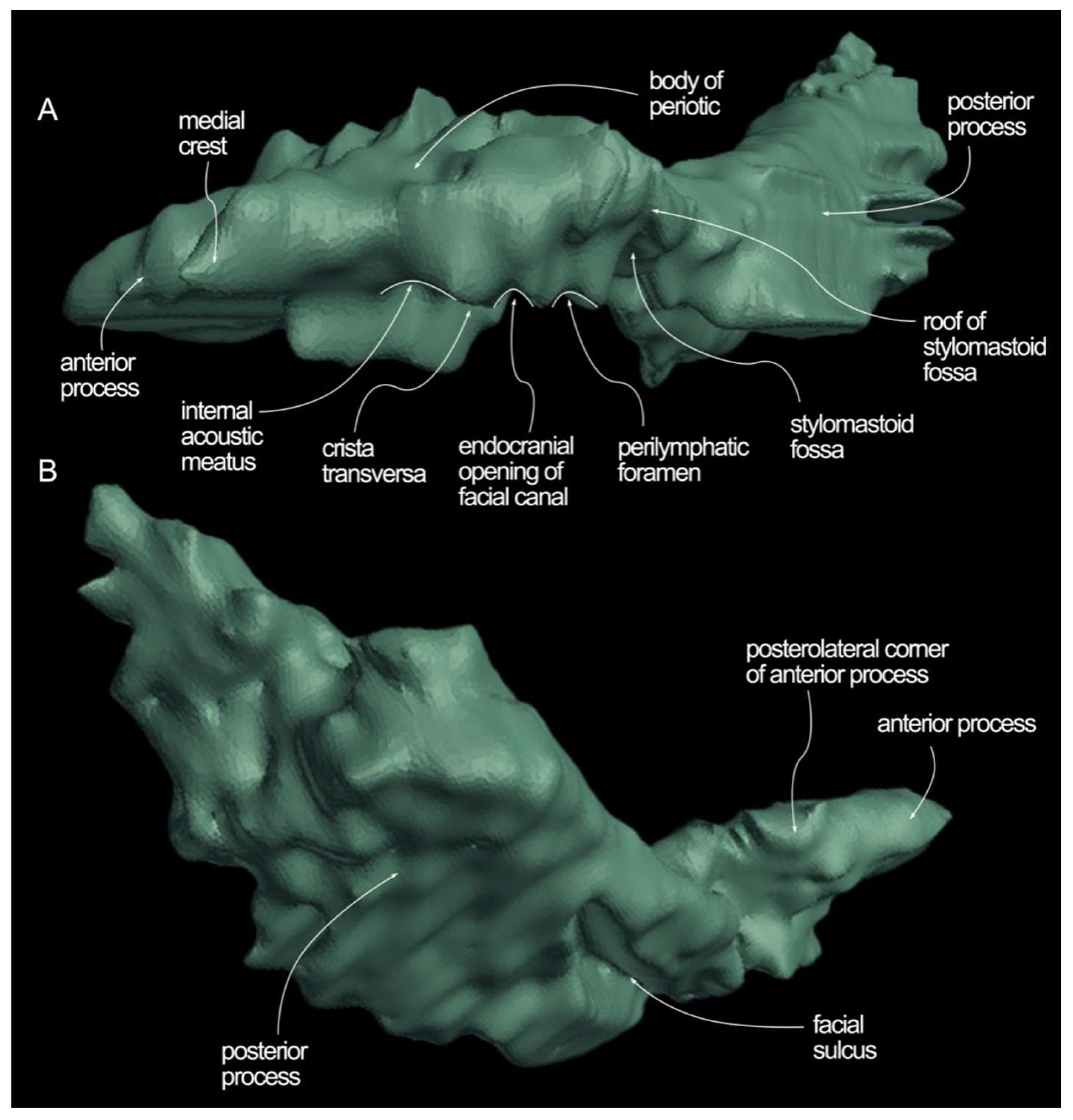 Diversity 16 00547 g008