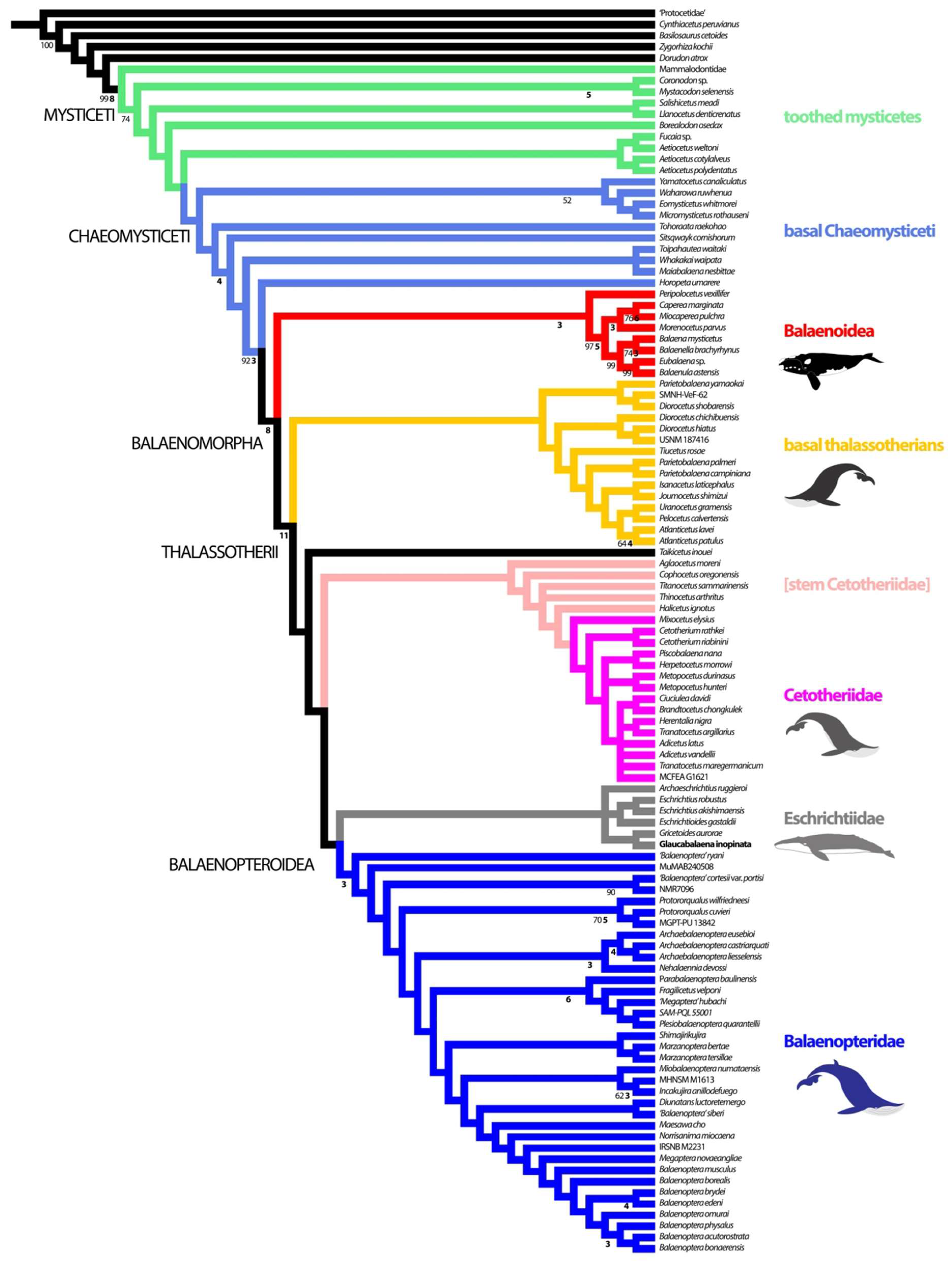 Diversity 16 00547 g011