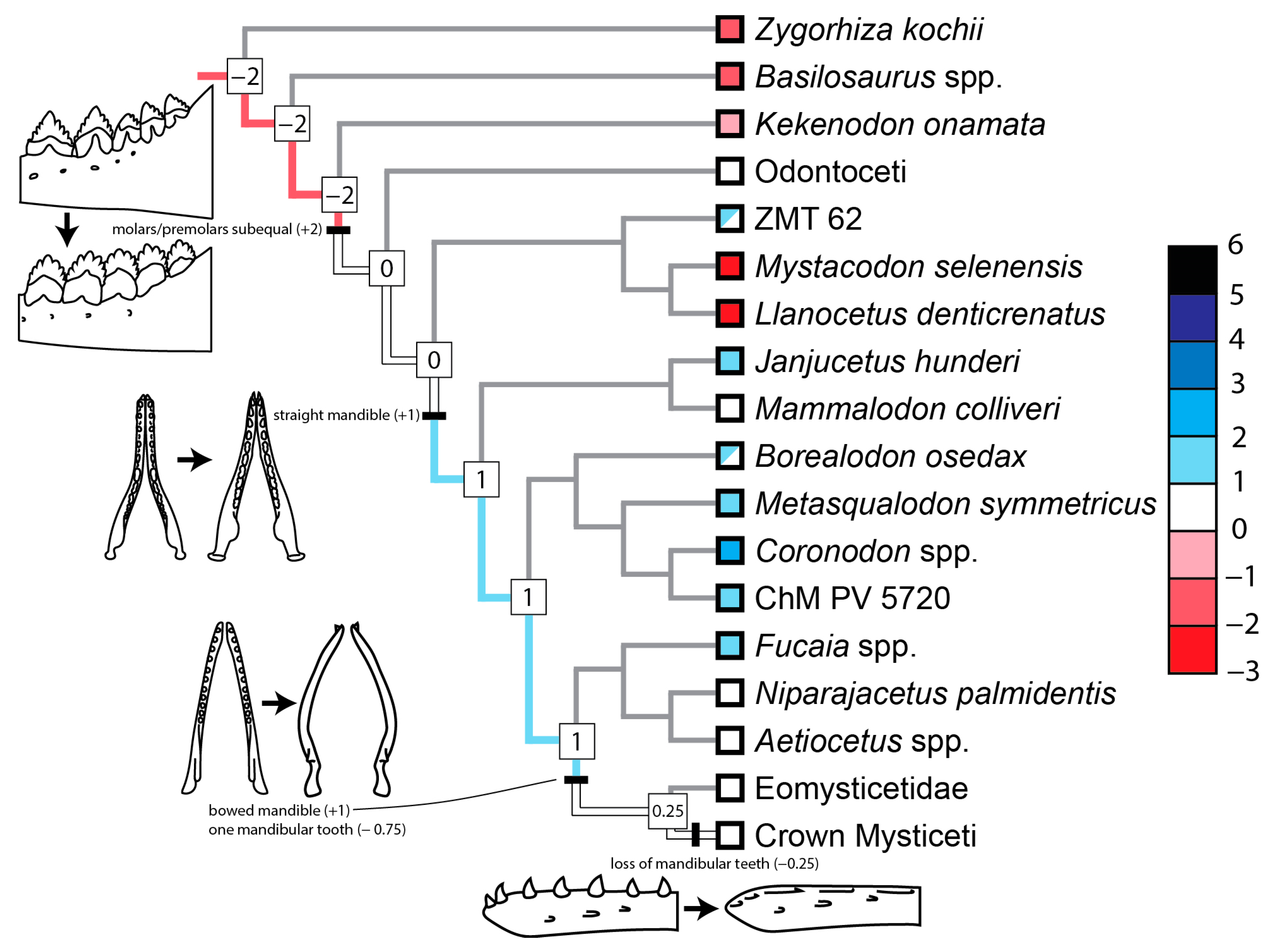 Diversity 16 00549 g007 Diversity 16 00549 g007