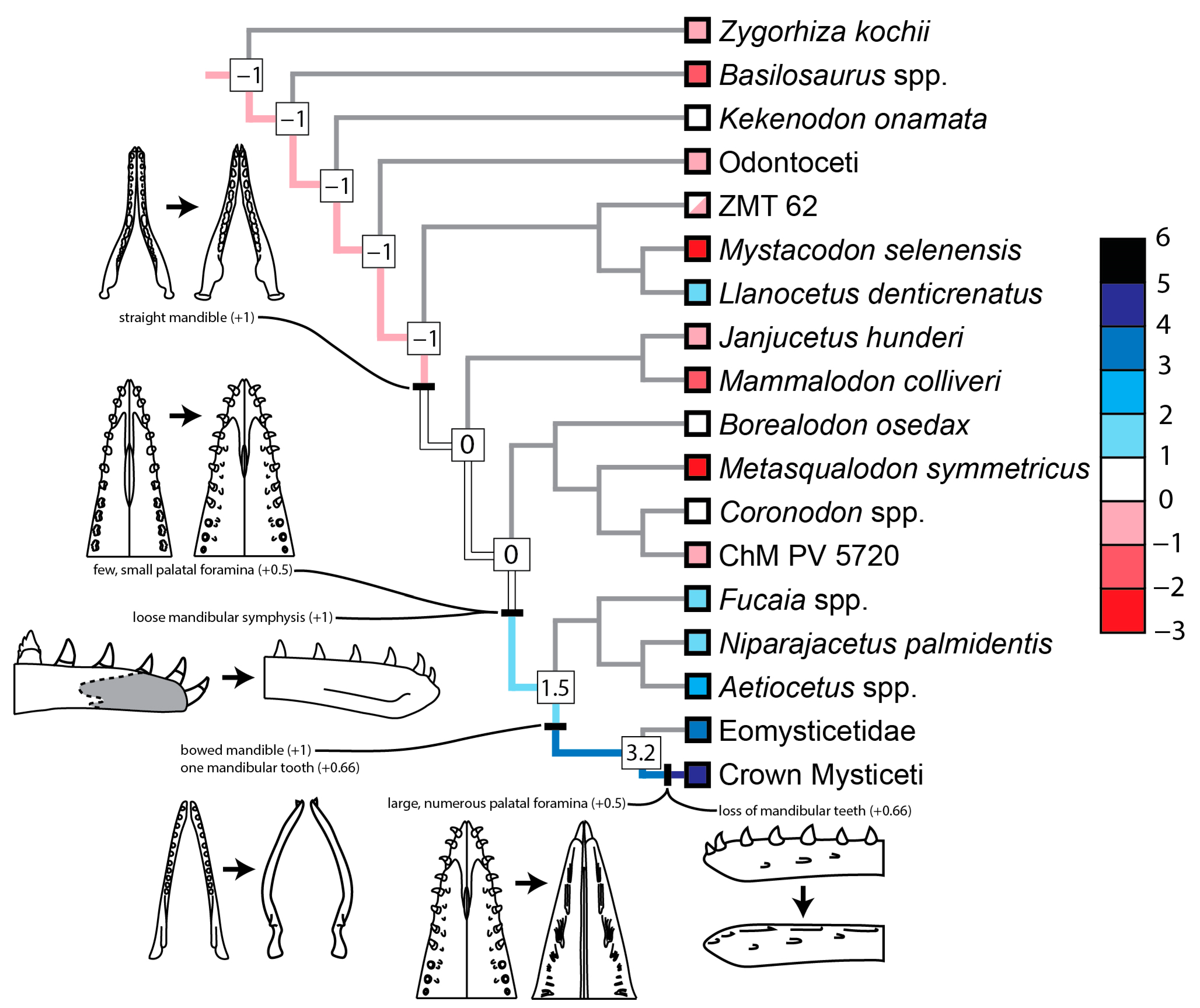 Diversity 16 00549 g008 Diversity 16 00549 g008