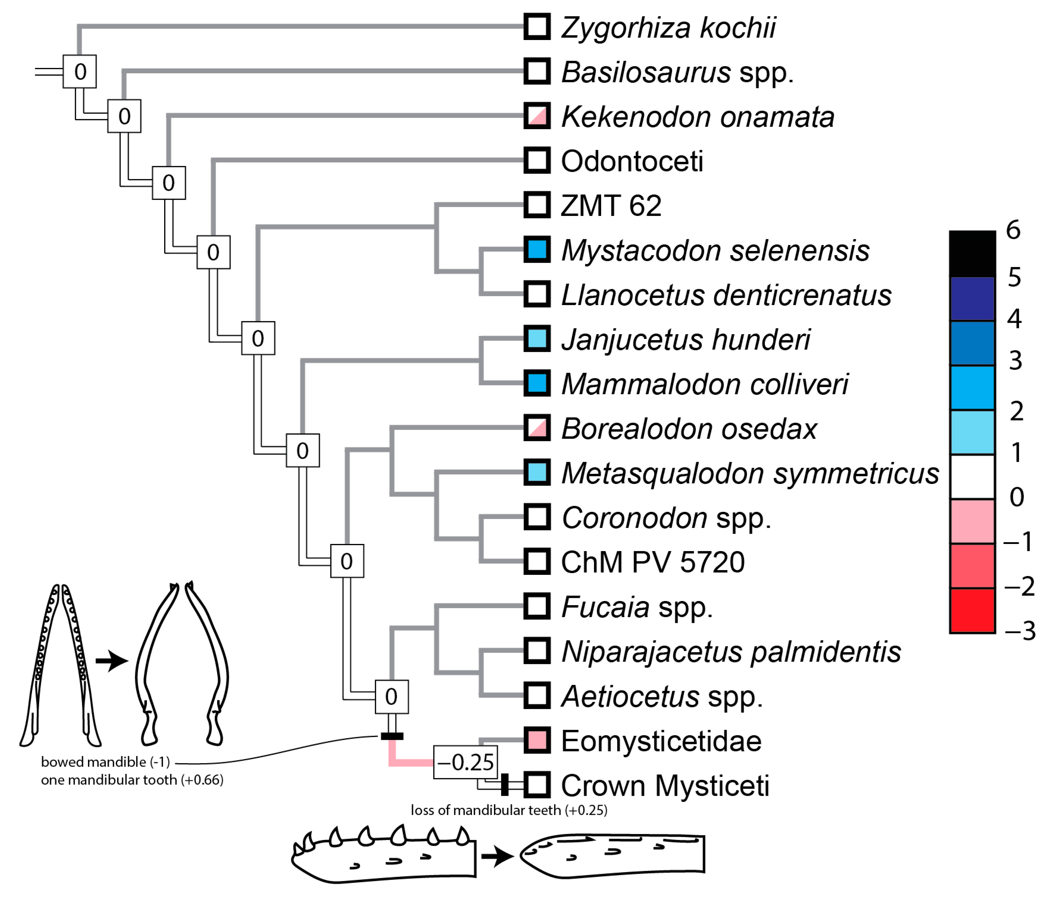 Diversity 16 00549 g009 Diversity 16 00549 g009