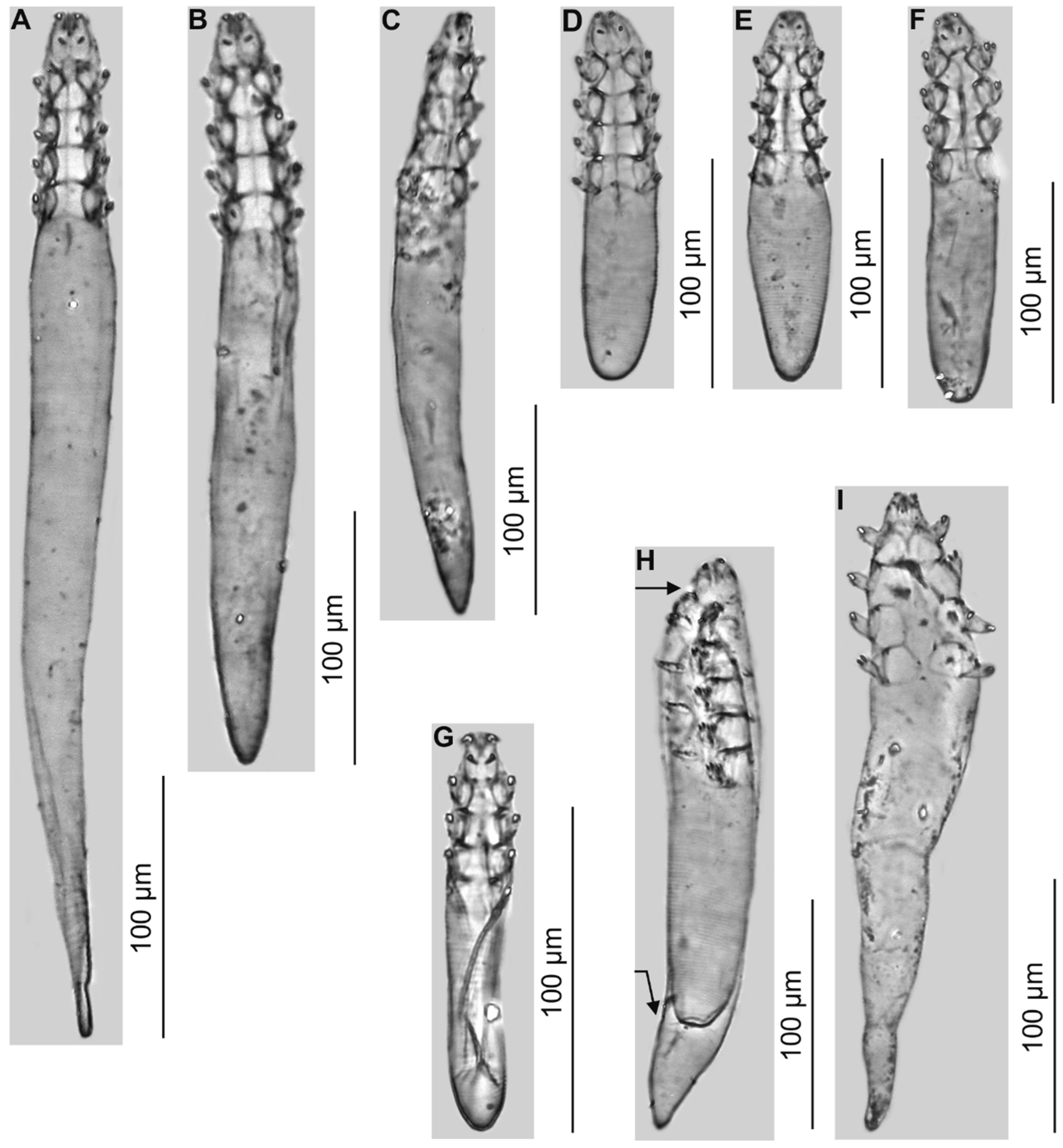 Diversity 16 00550 g002 Diversity 16 00550 g002
