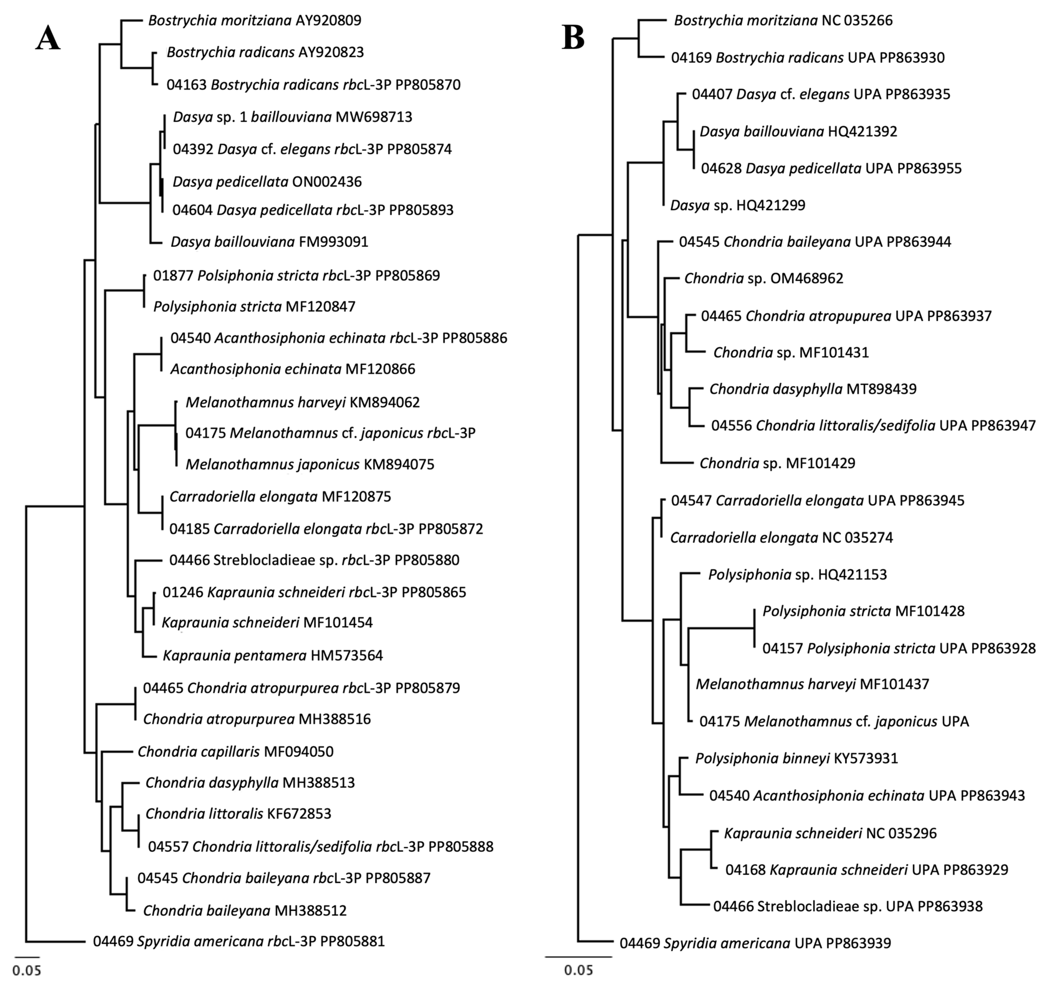 Diversity 16 00554 g005