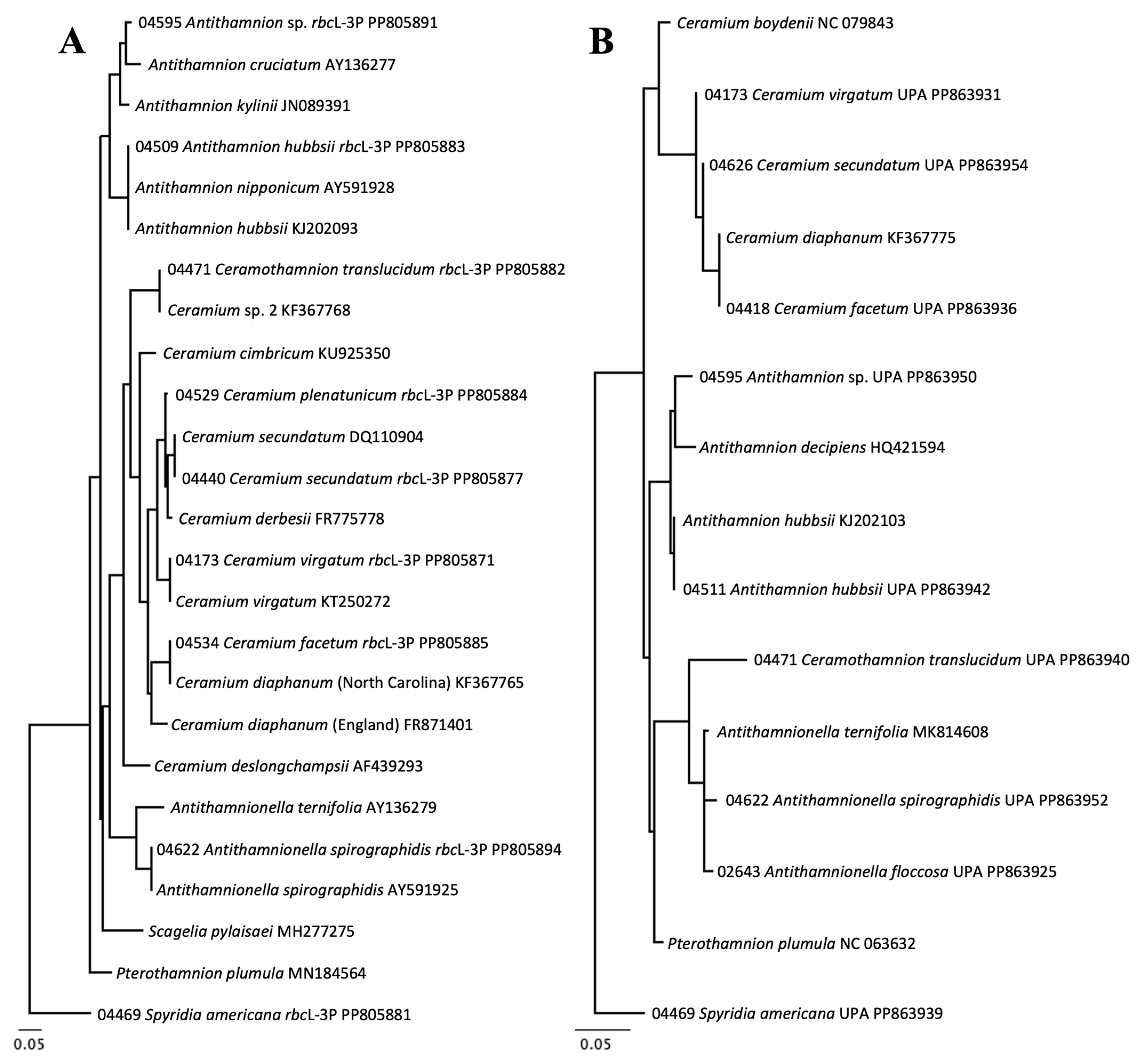 Diversity 16 00554 g007