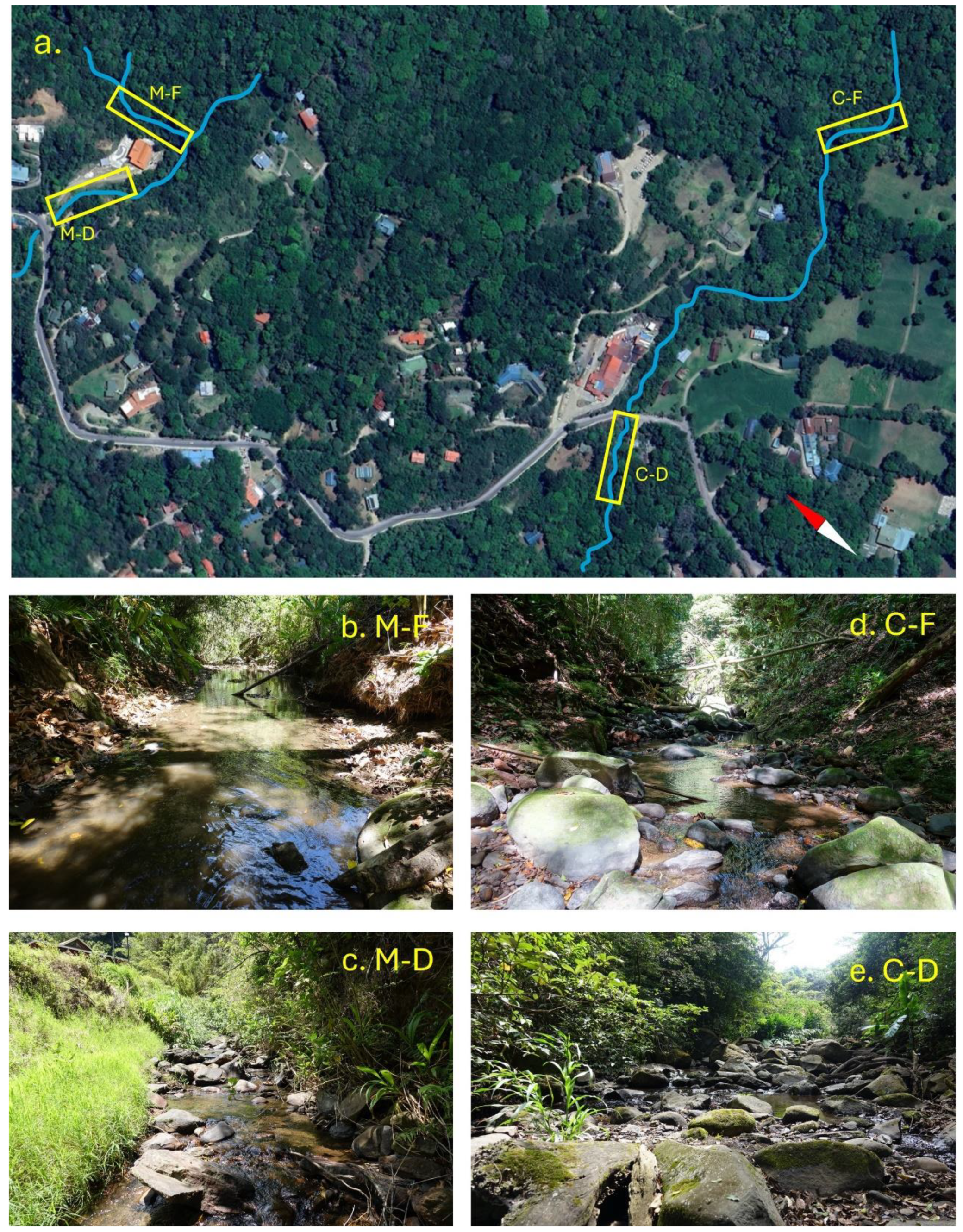 Diversity 16 00557 g001