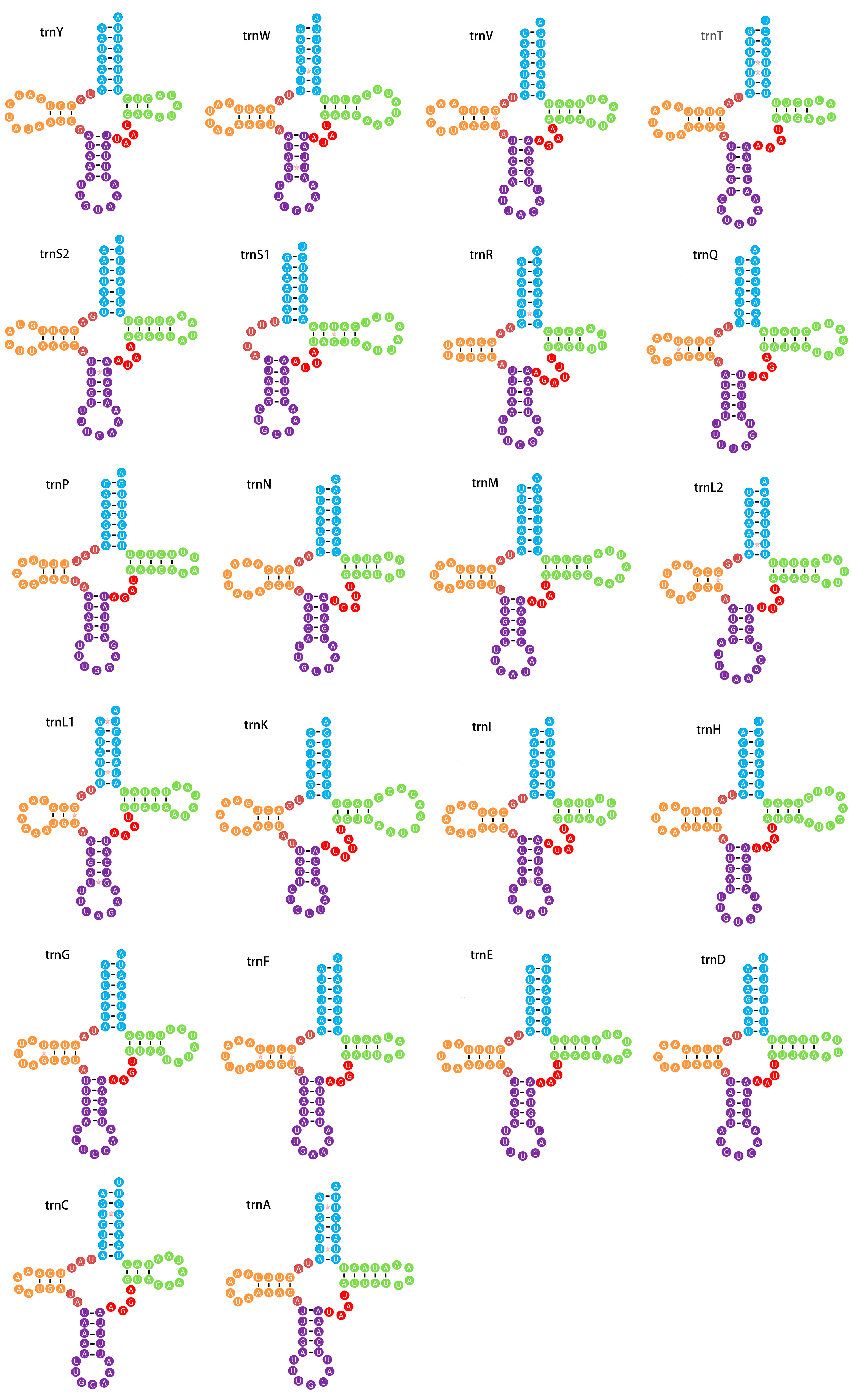 Diversity 16 00560 g003