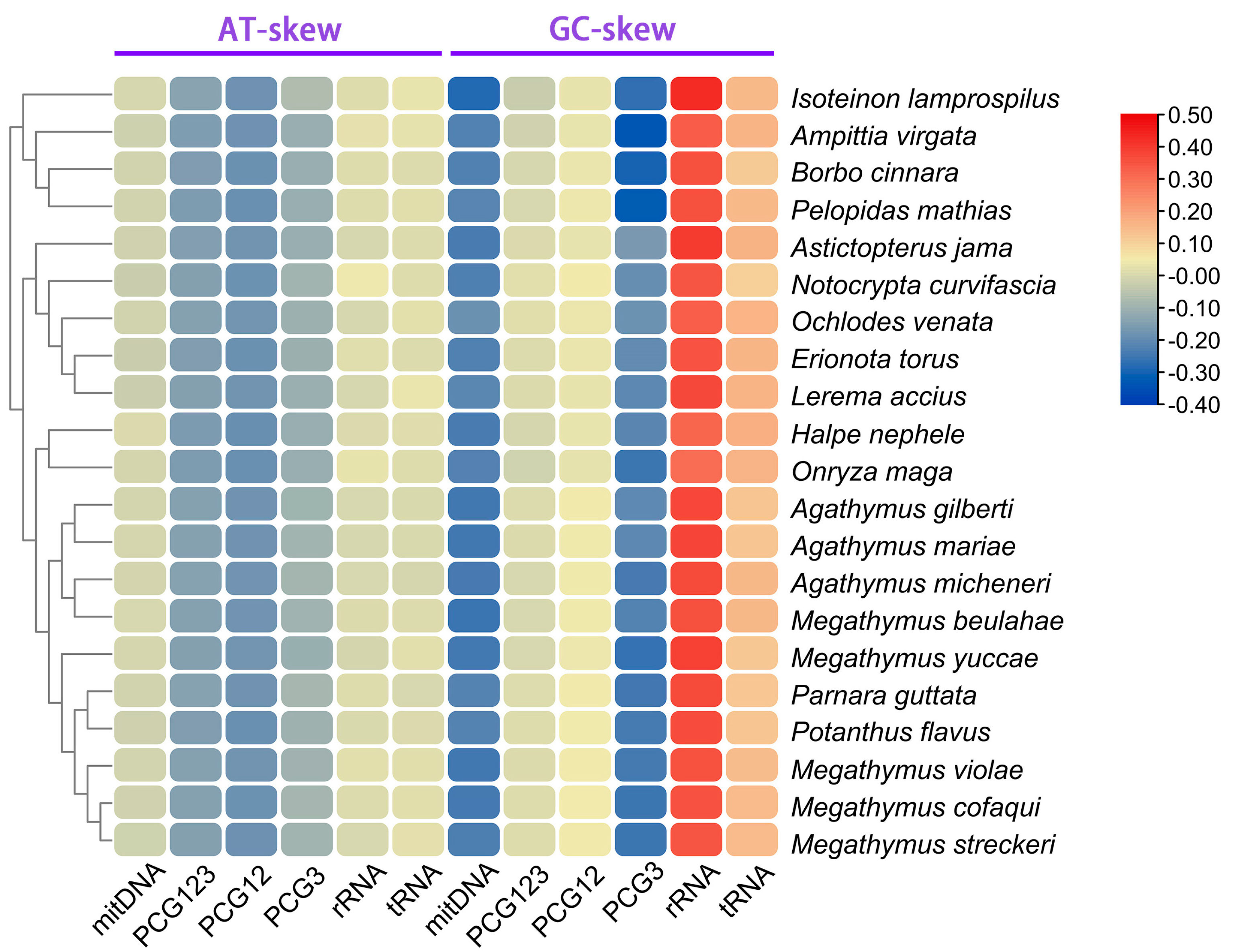Diversity 16 00560 g005