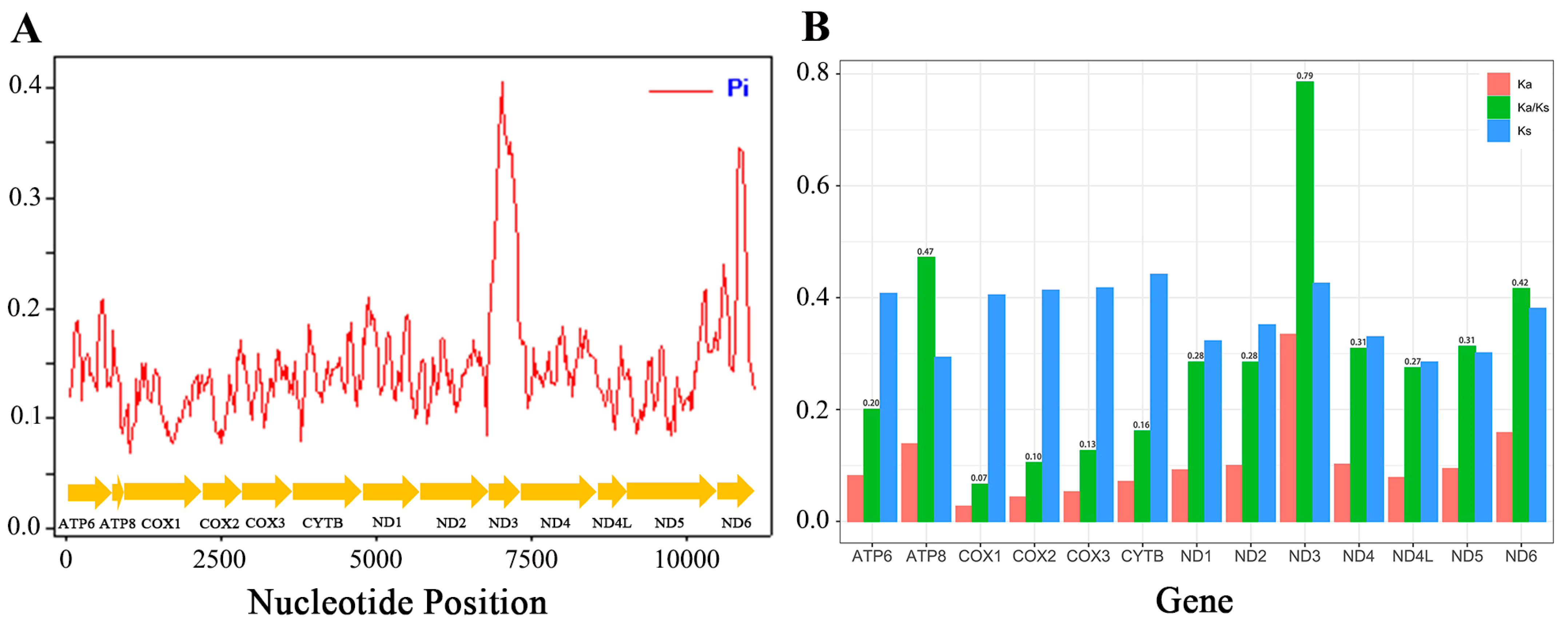 Diversity 16 00560 g007