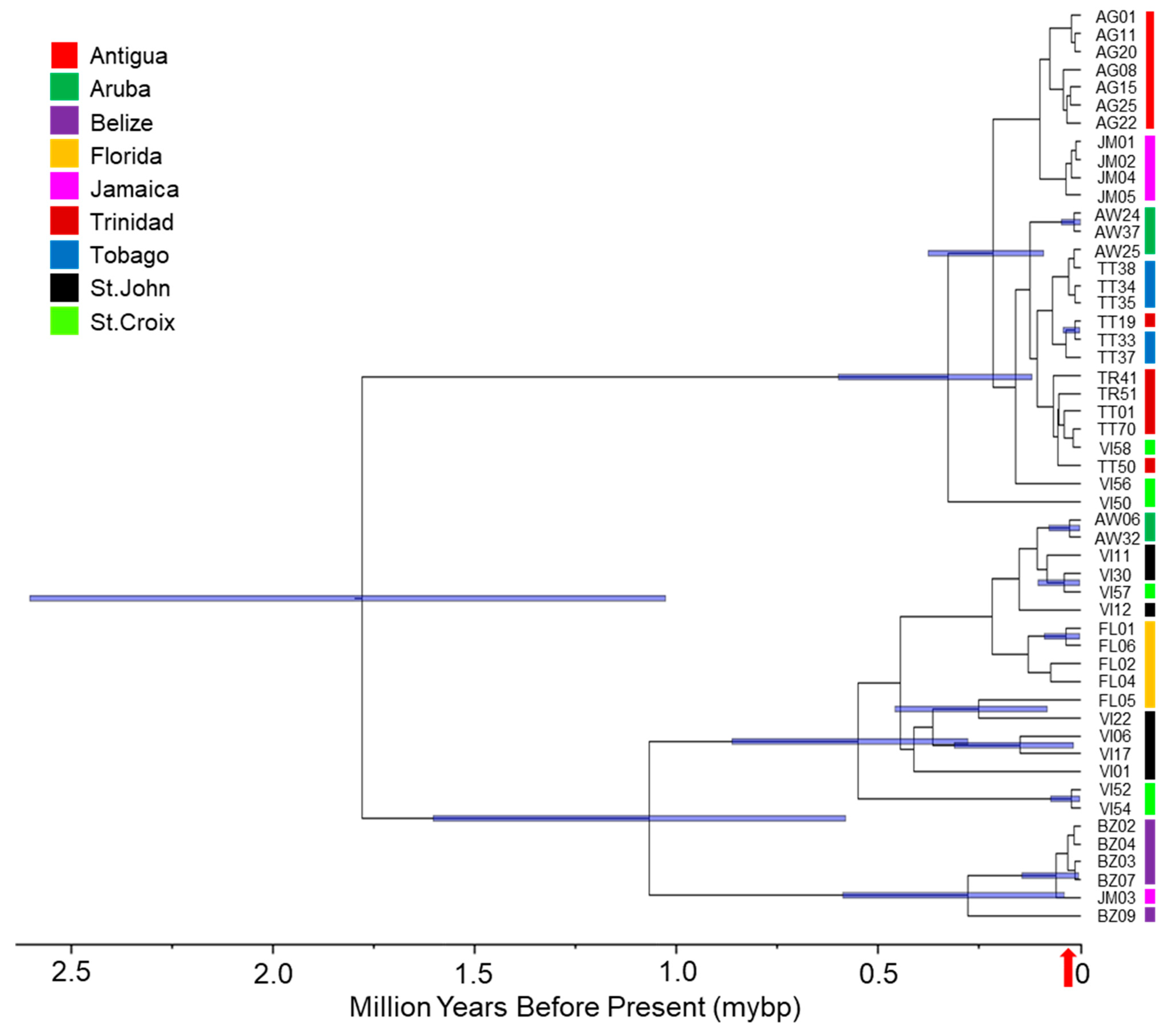 Diversity 16 00562 g003