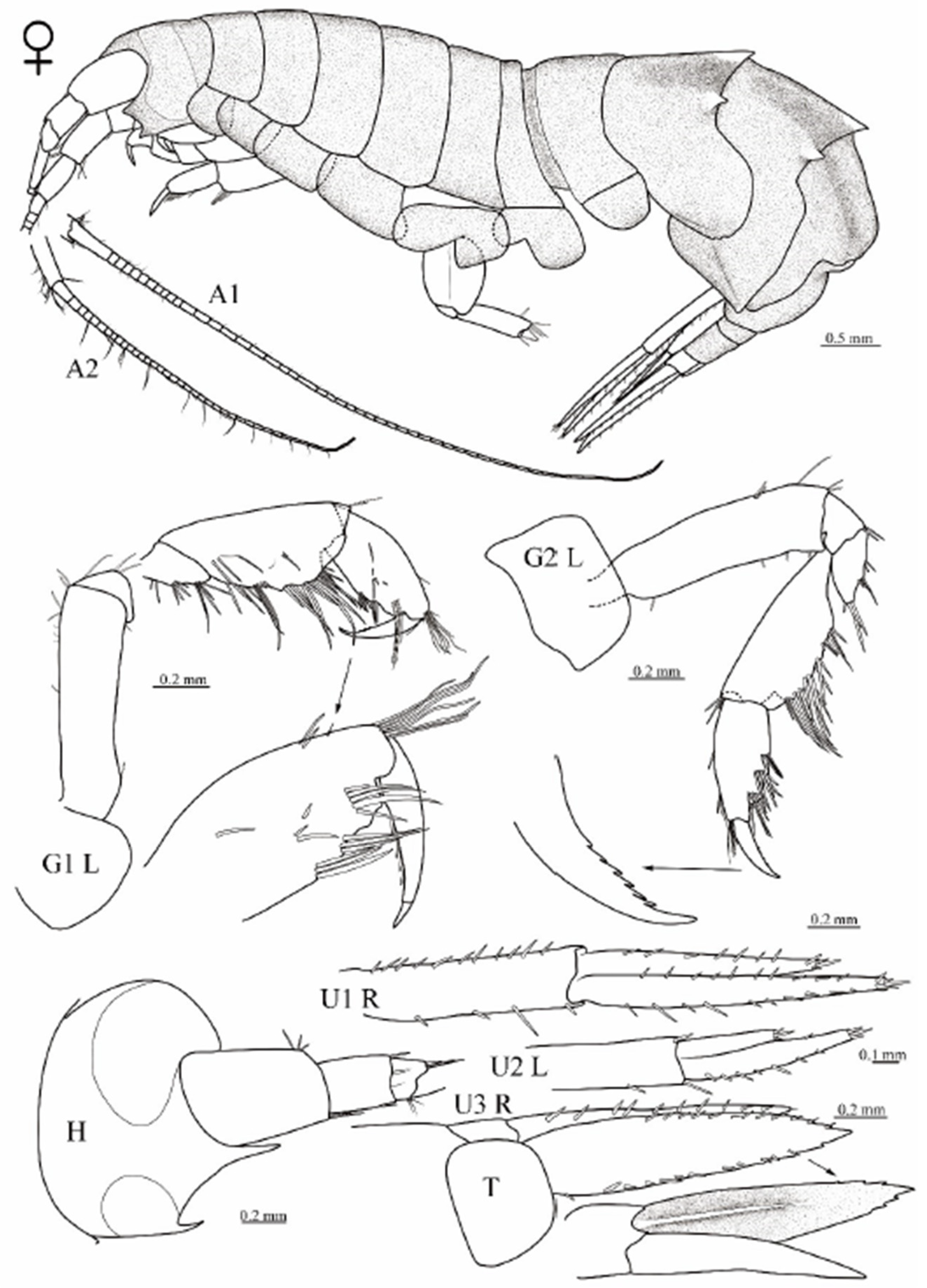 Diversity 16 00564 g002 Diversity 16 00564 g002