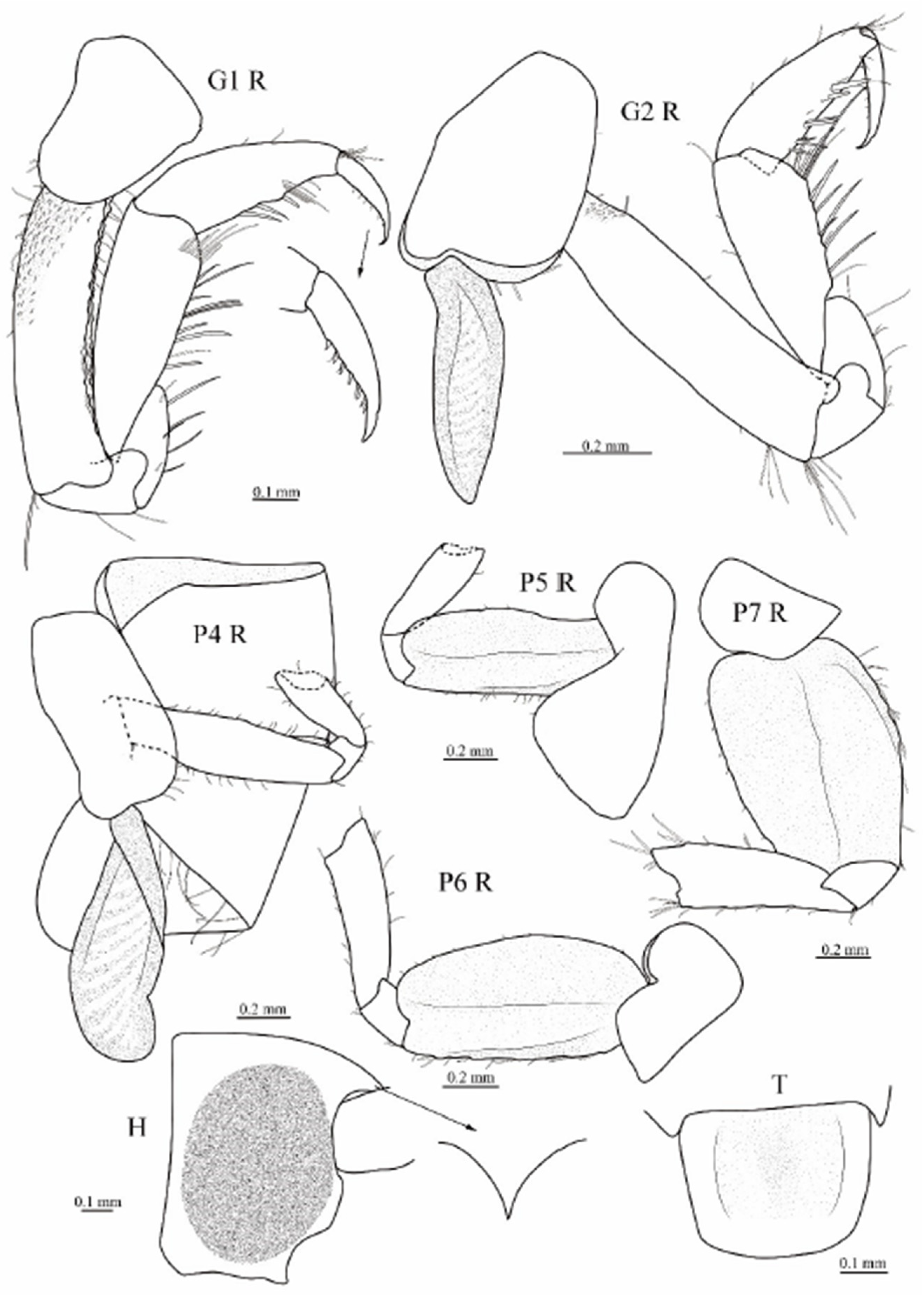 Diversity 16 00564 g007 Diversity 16 00564 g007