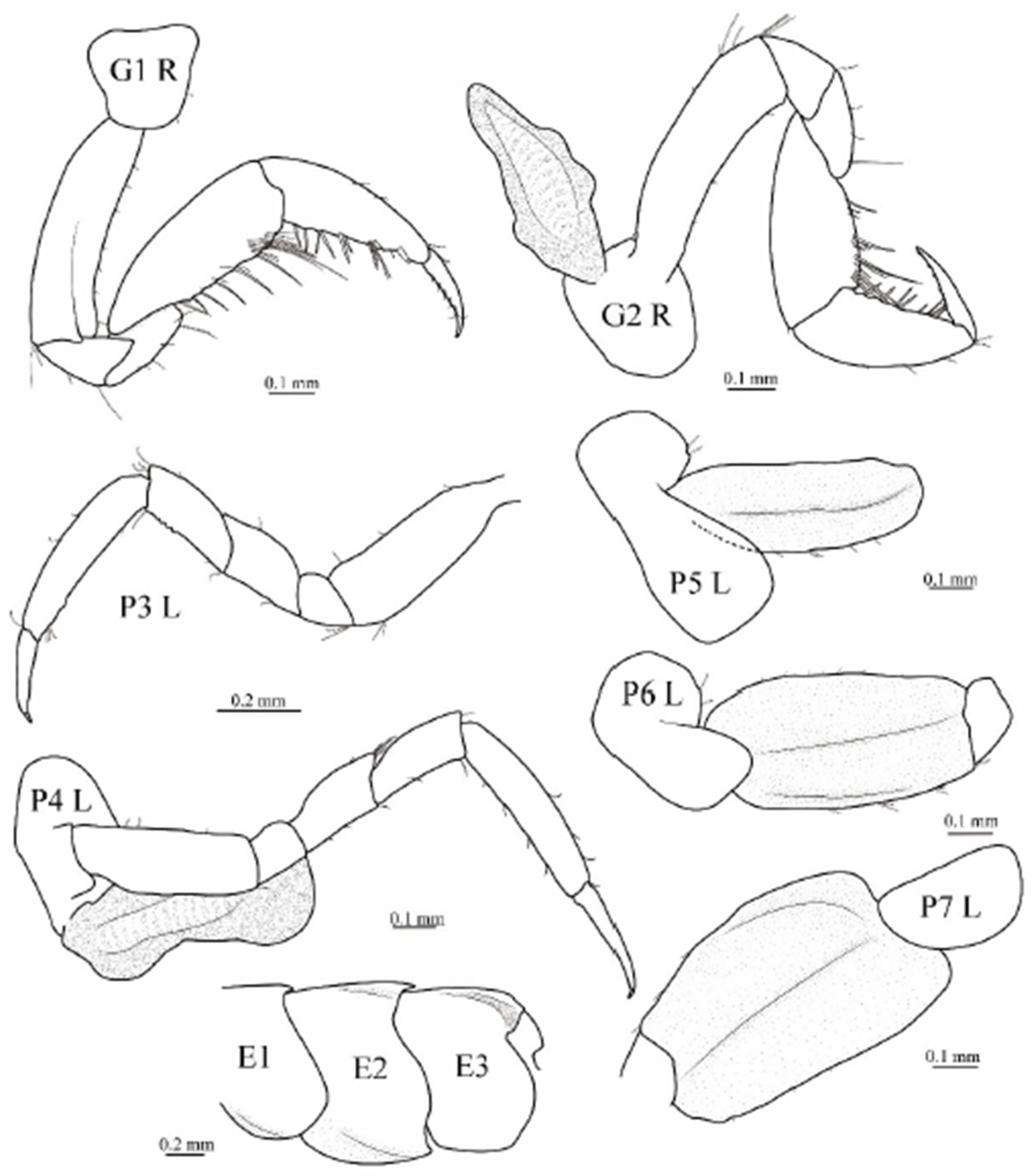 Diversity 16 00564 g008 Diversity 16 00564 g008