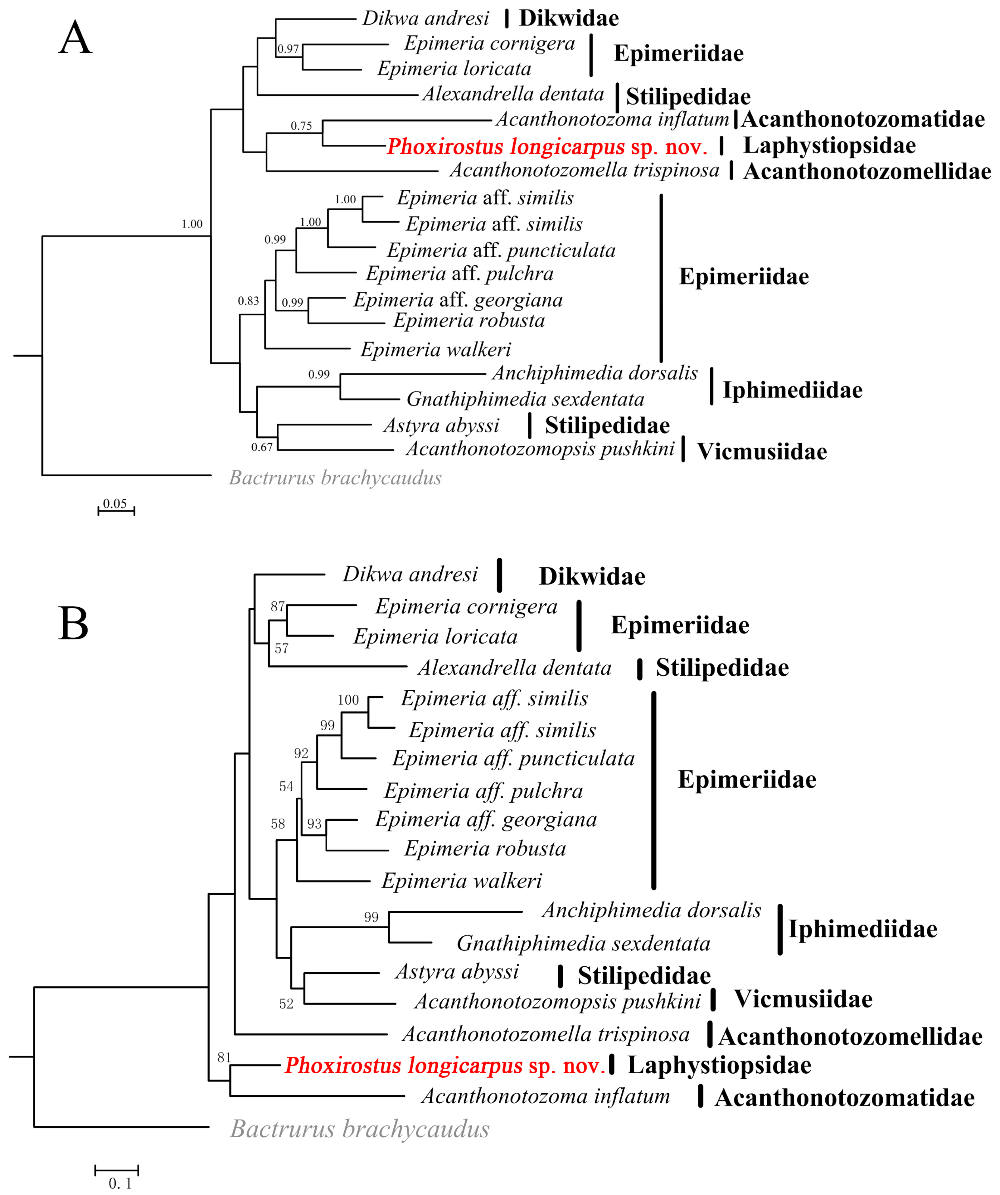 Diversity 16 00564 g009 Diversity 16 00564 g009