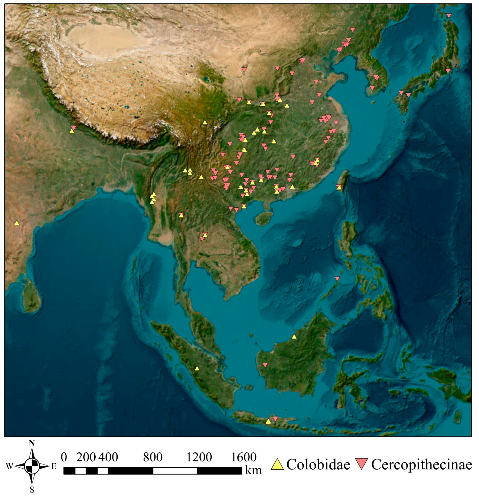 Diversity 16 00565 g005