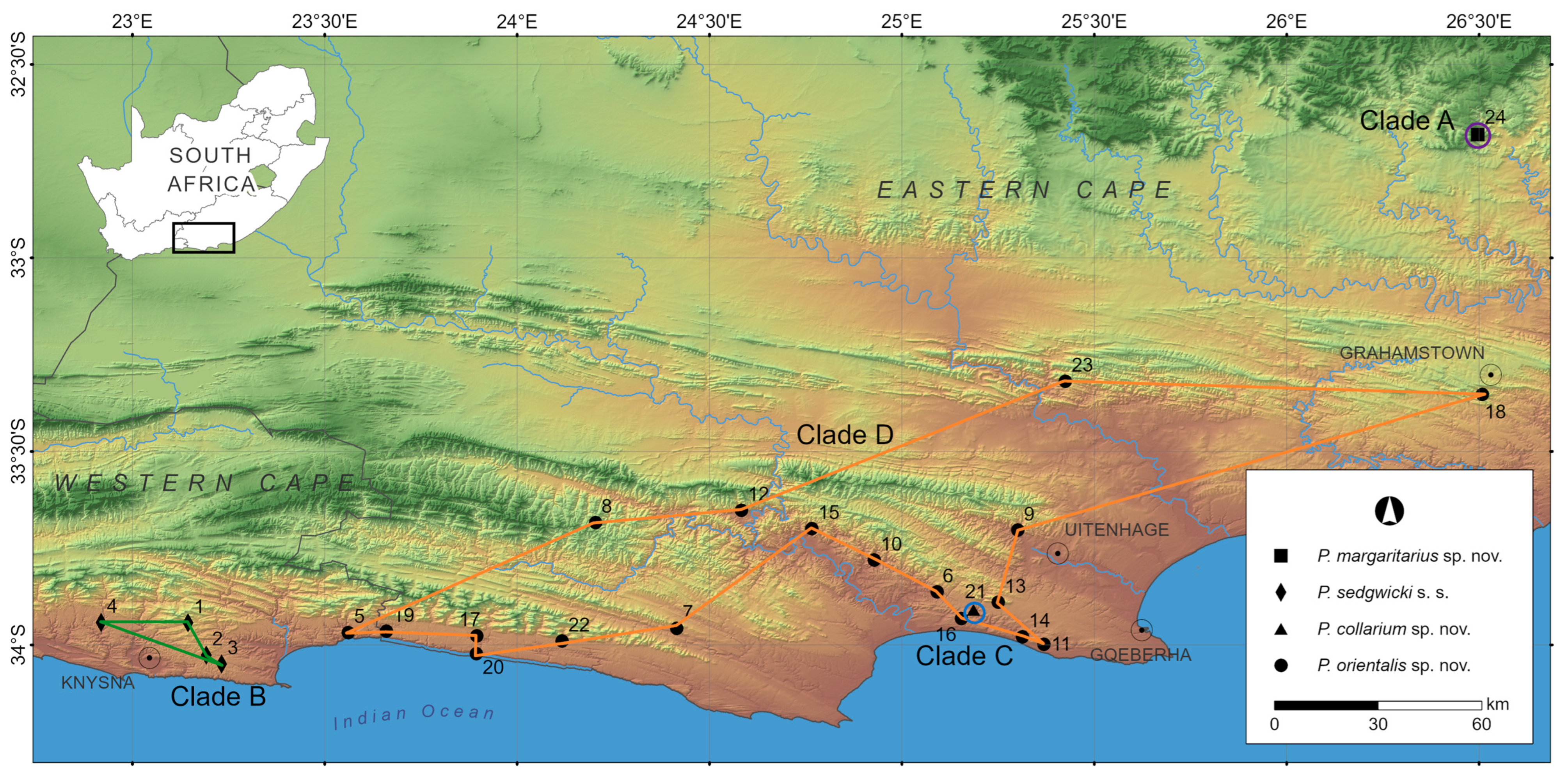 Diversity 16 00566 g001