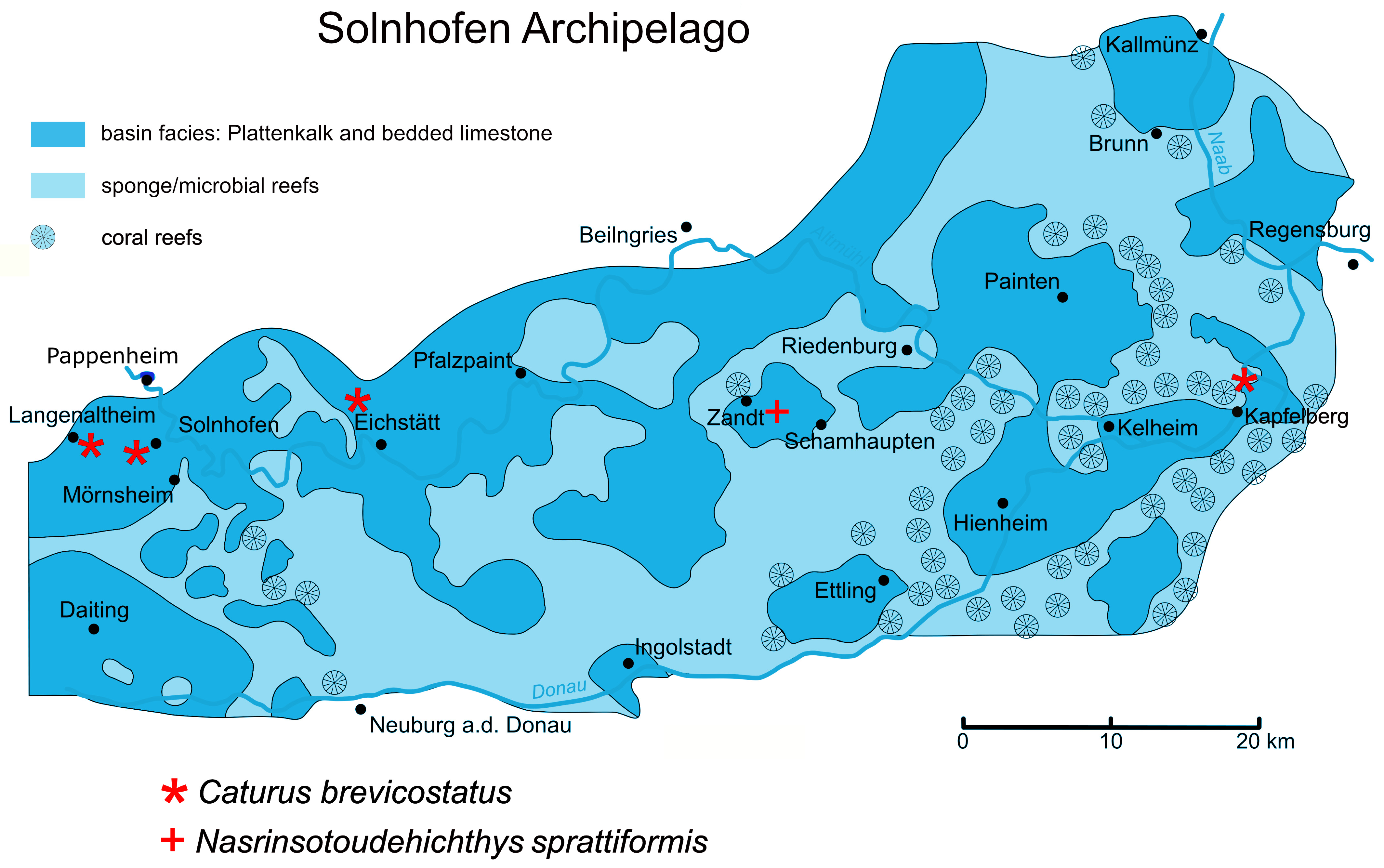 Diversity 16 00568 g001