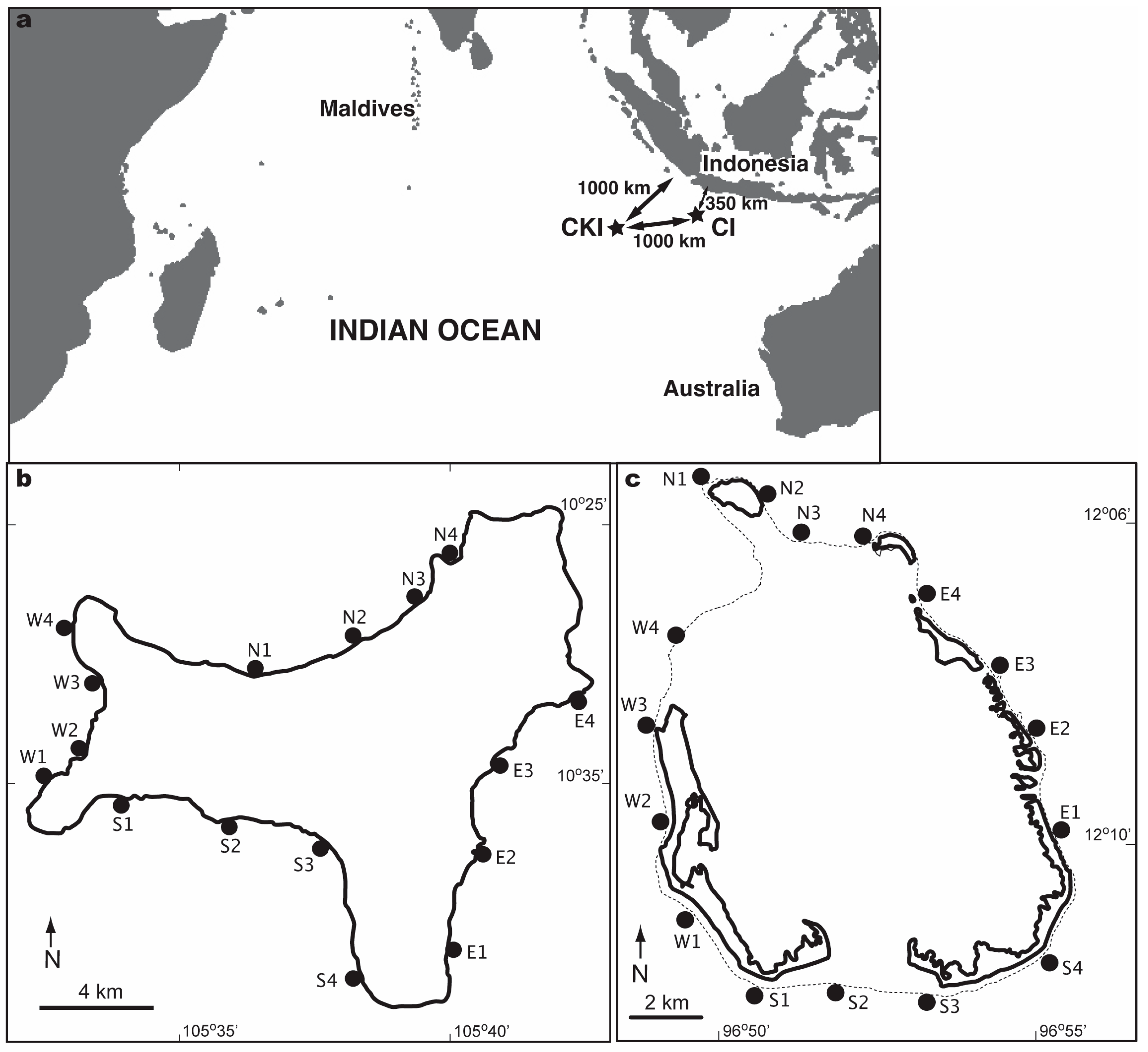 Diversity 16 00569 g001