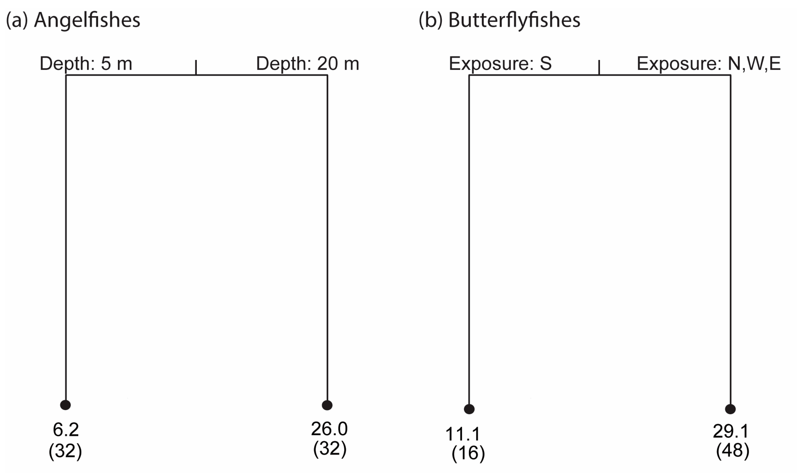 Diversity 16 00569 g005