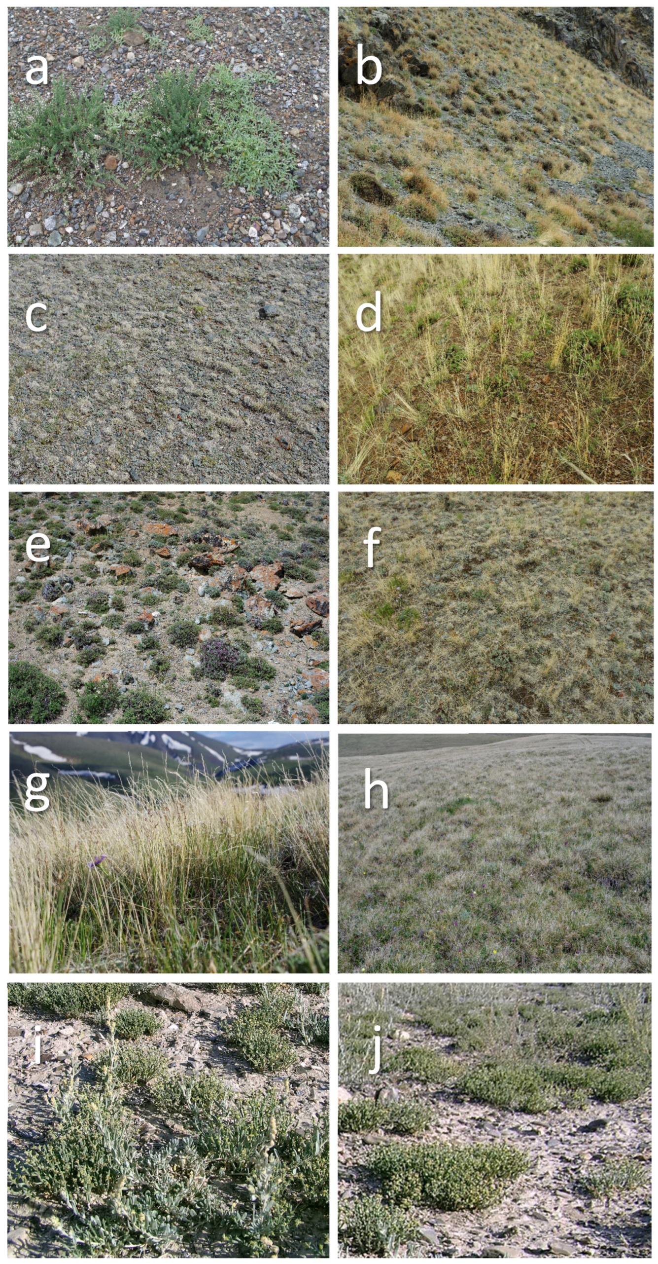 Diversity 16 00570 g009