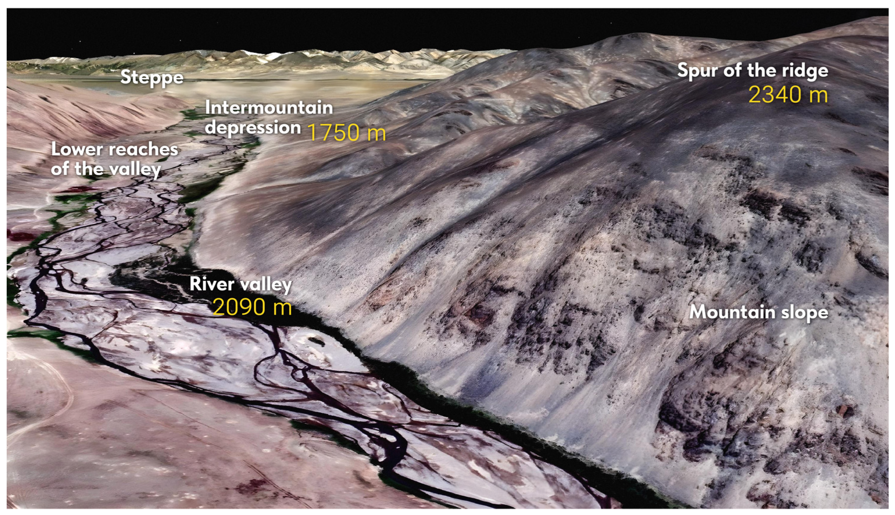 Diversity 16 00570 g010