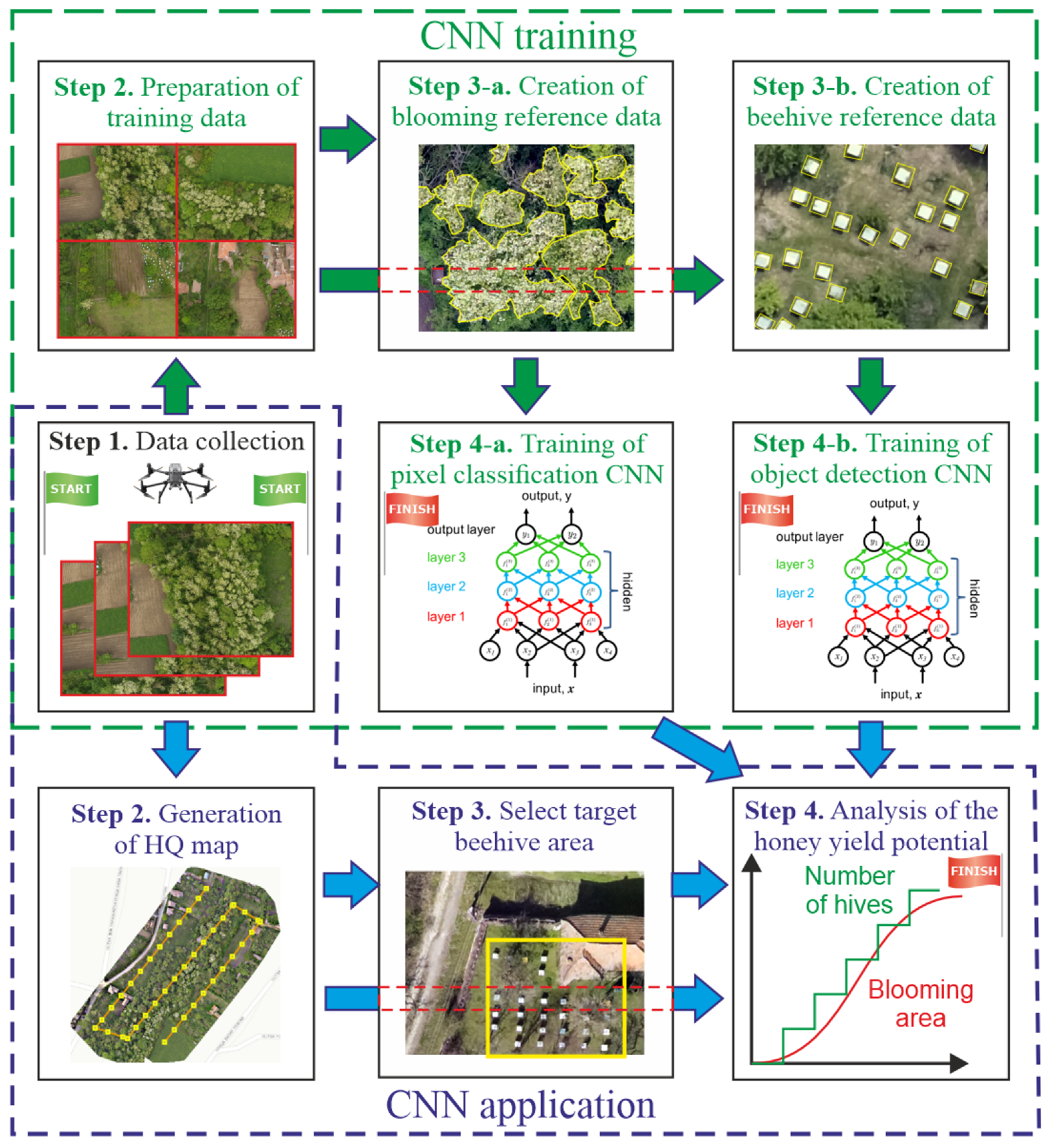 Diversity 16 00578 g002