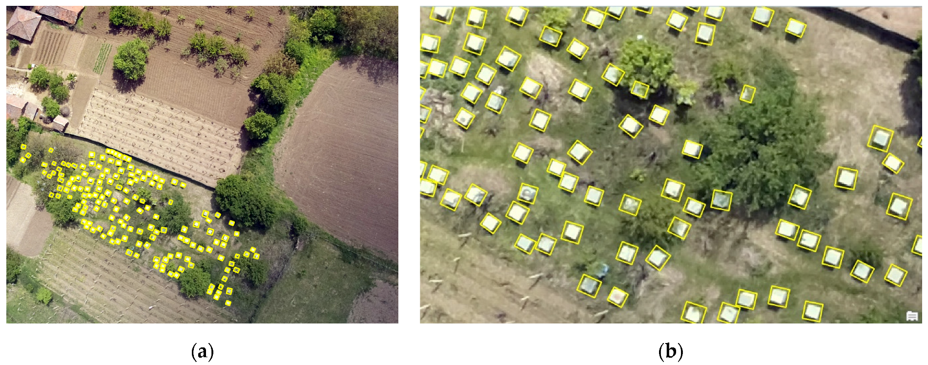 Diversity 16 00578 g006