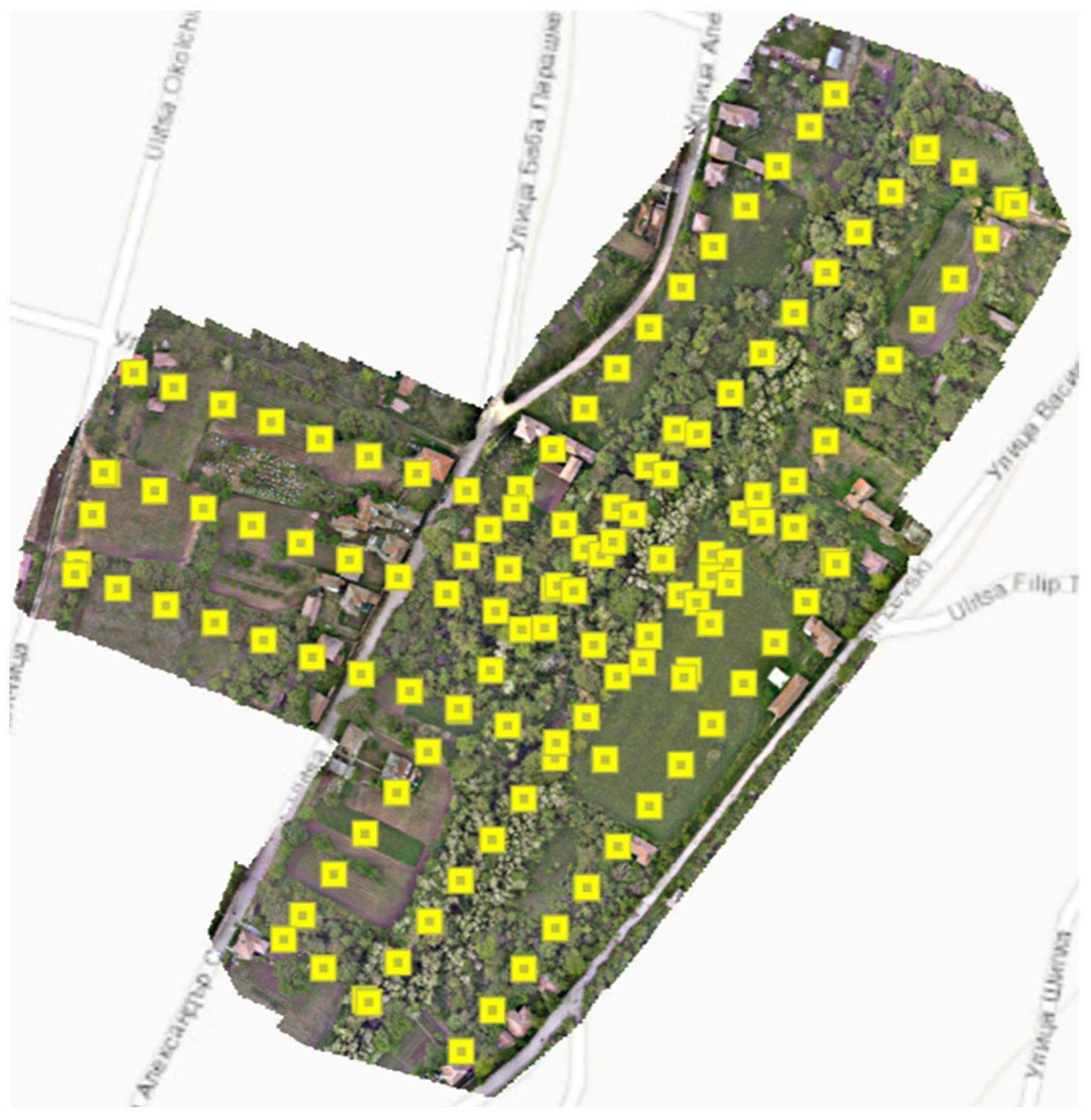 Diversity 16 00578 g008