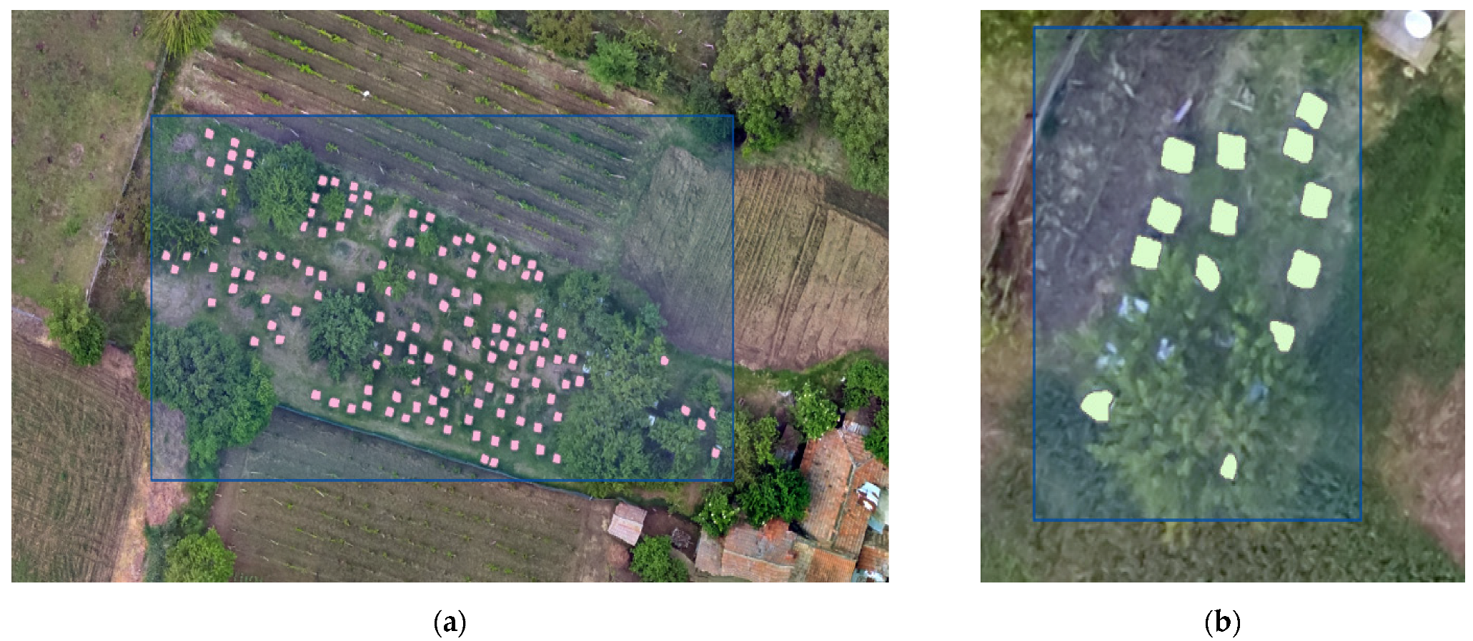 Diversity 16 00578 g010