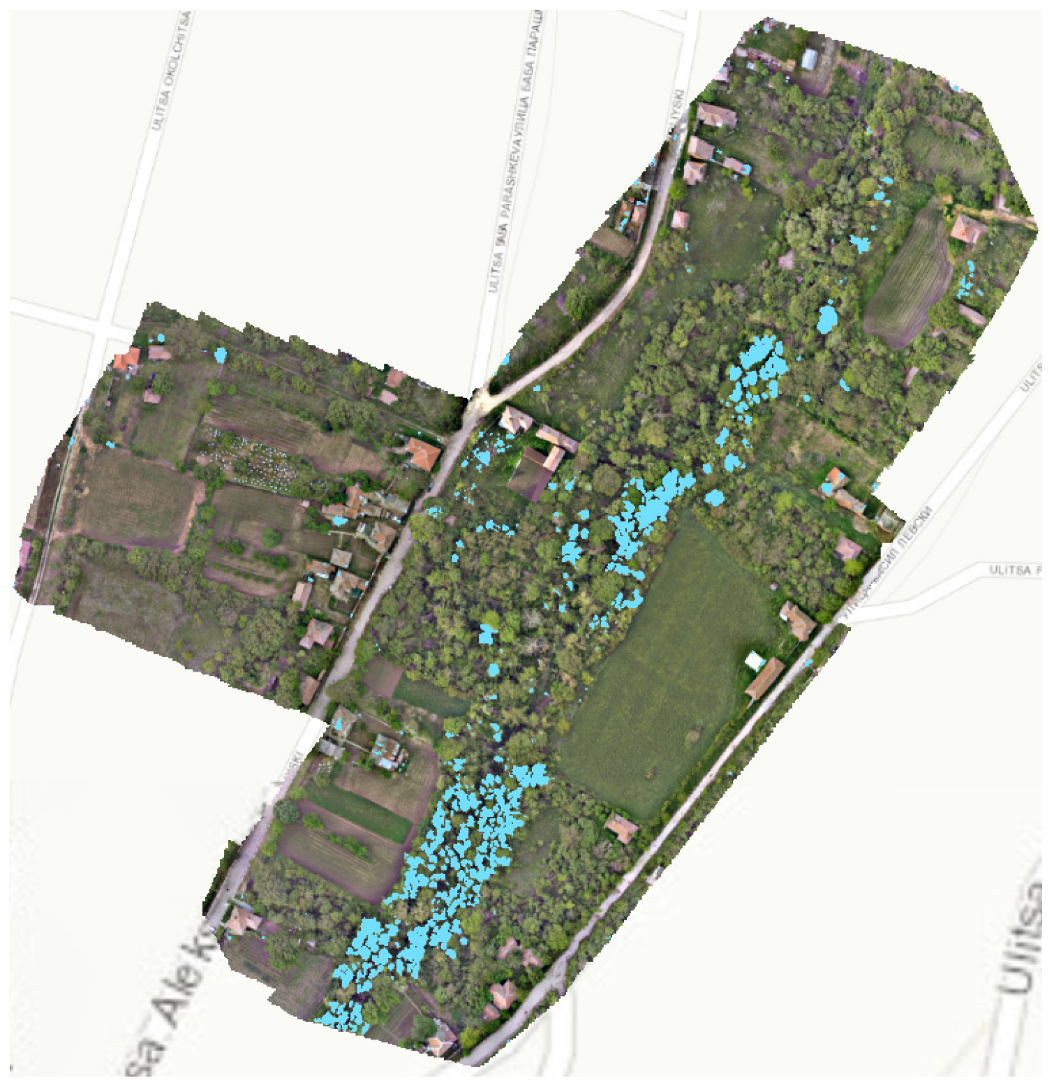 Diversity 16 00578 g011